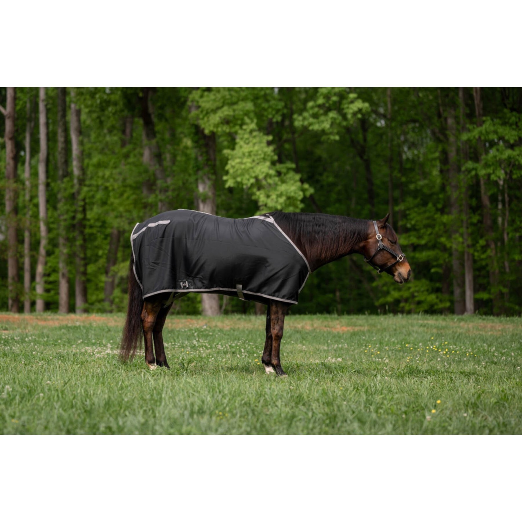 TuffRider Shelter Closed Front Horse Stable Sheet TuffRider