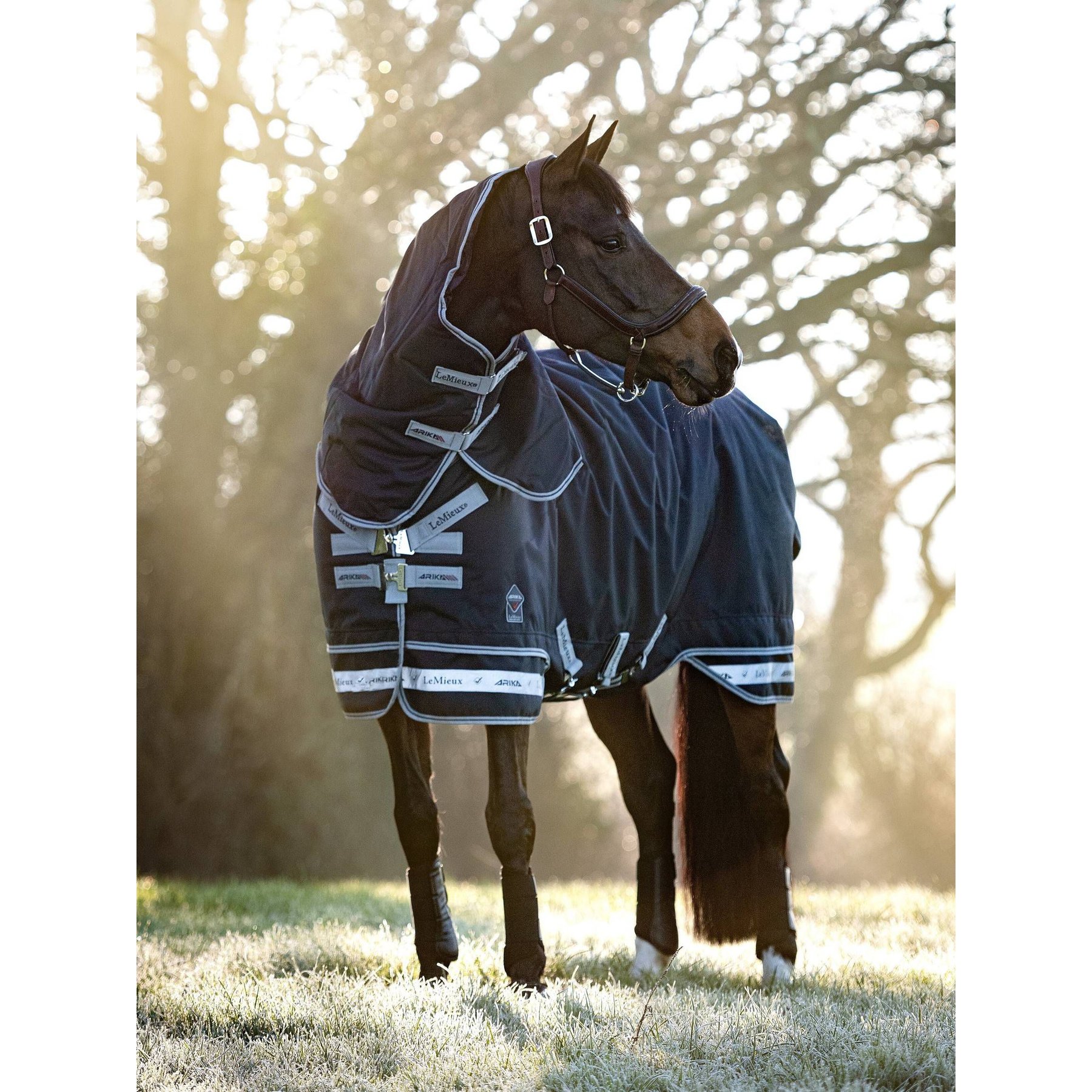 LeMieux Arika Storm-Tek 350g Horse Rug, Navy LeMieux