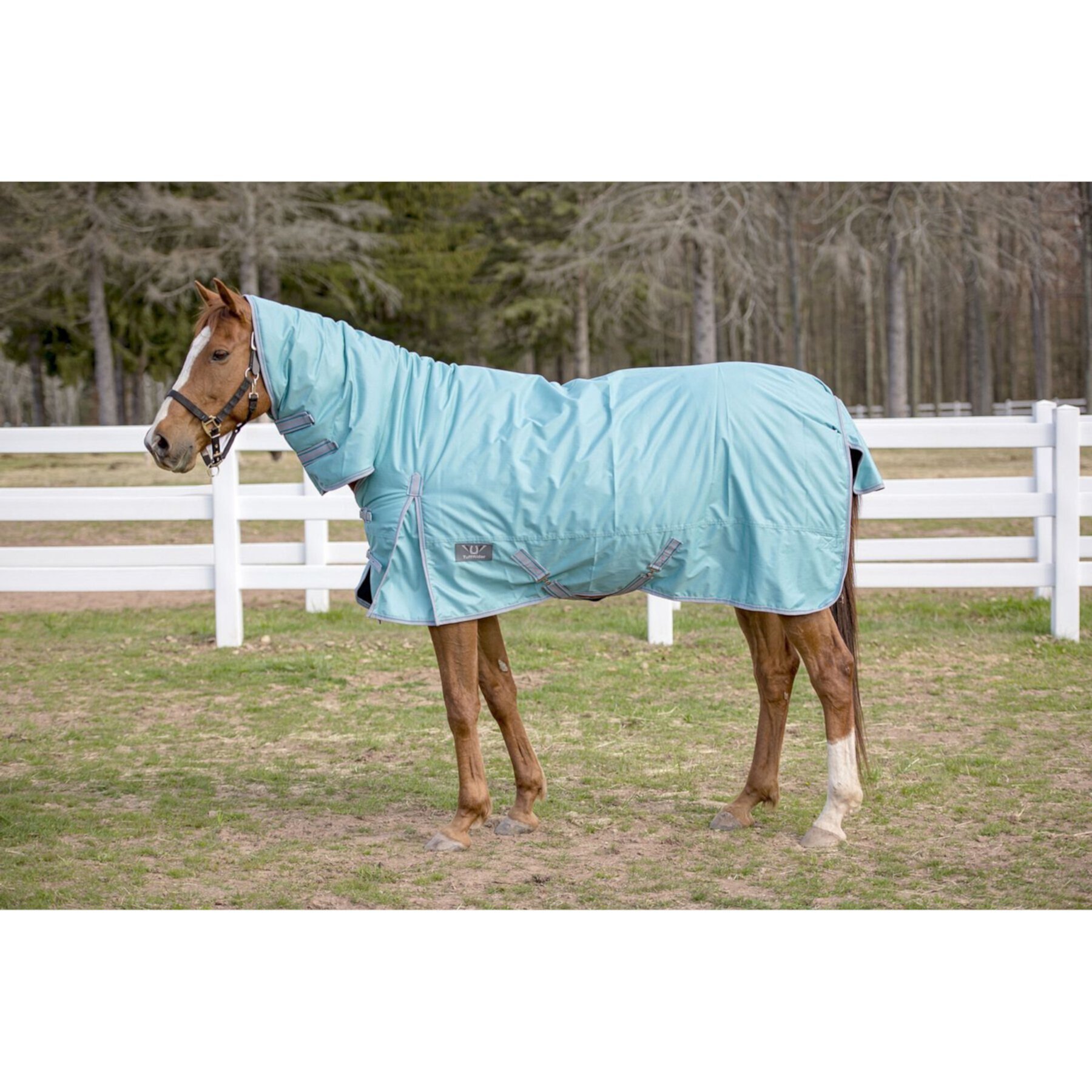 TuffRider 600 D Comfy Winter Medium Weight Combo Neck Horse Turnout Blanket TuffRider