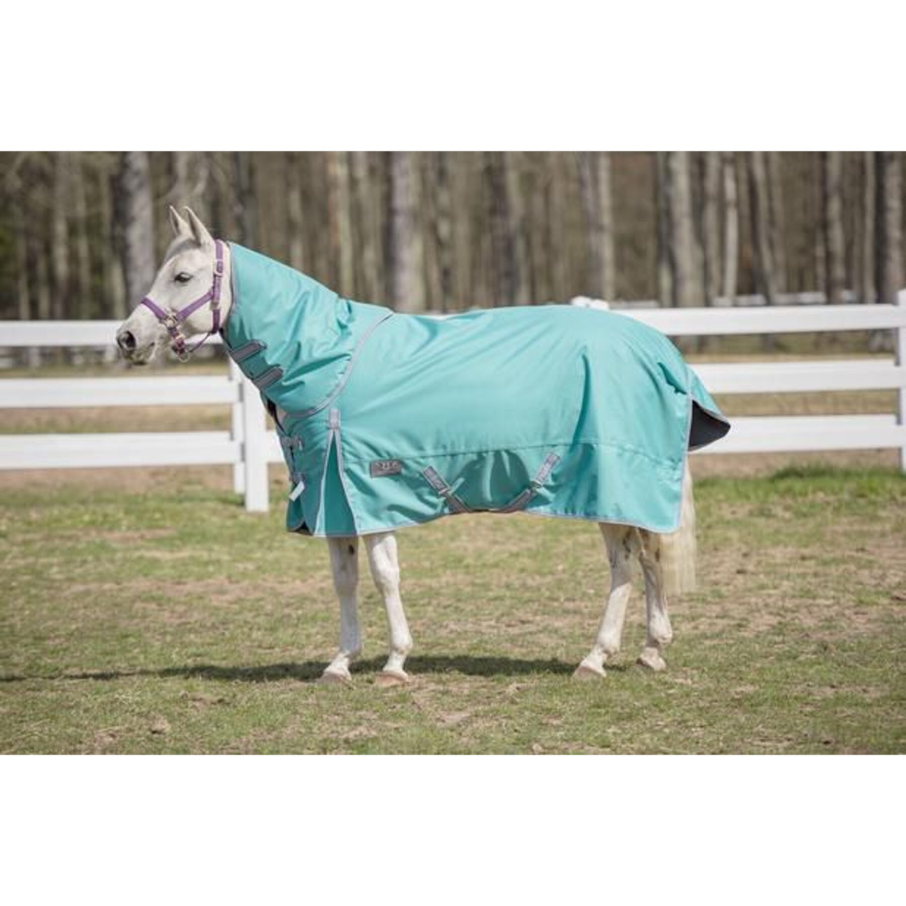 TuffRider 1200 D Comfy Winter Medium Weight Detachable Neck Horse Turnout Blanket TuffRider