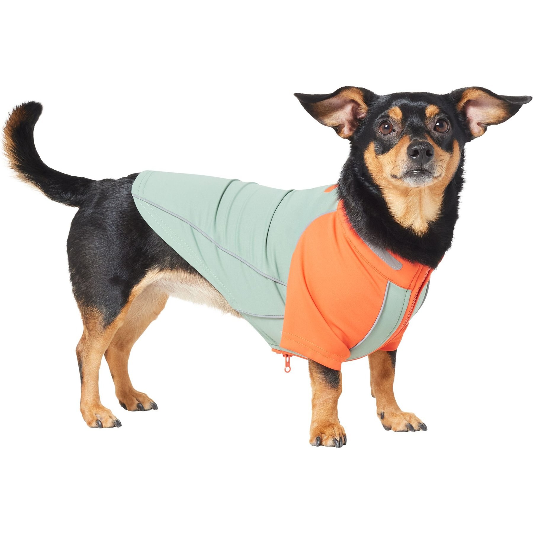 Frisco UPF 50+ Dog Scuba Shirt Frisco