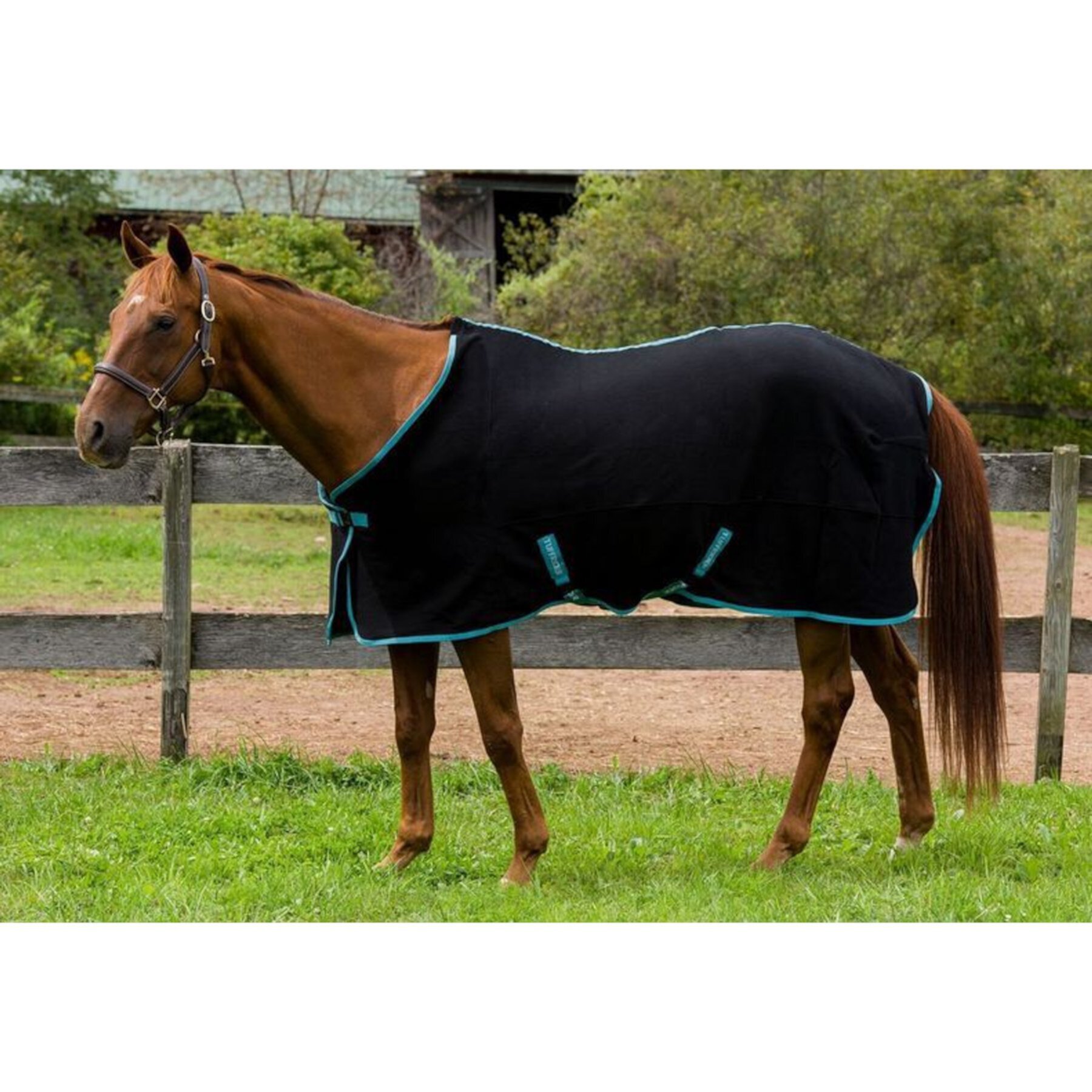 TuffRider Cooler Horse Sheet TuffRider