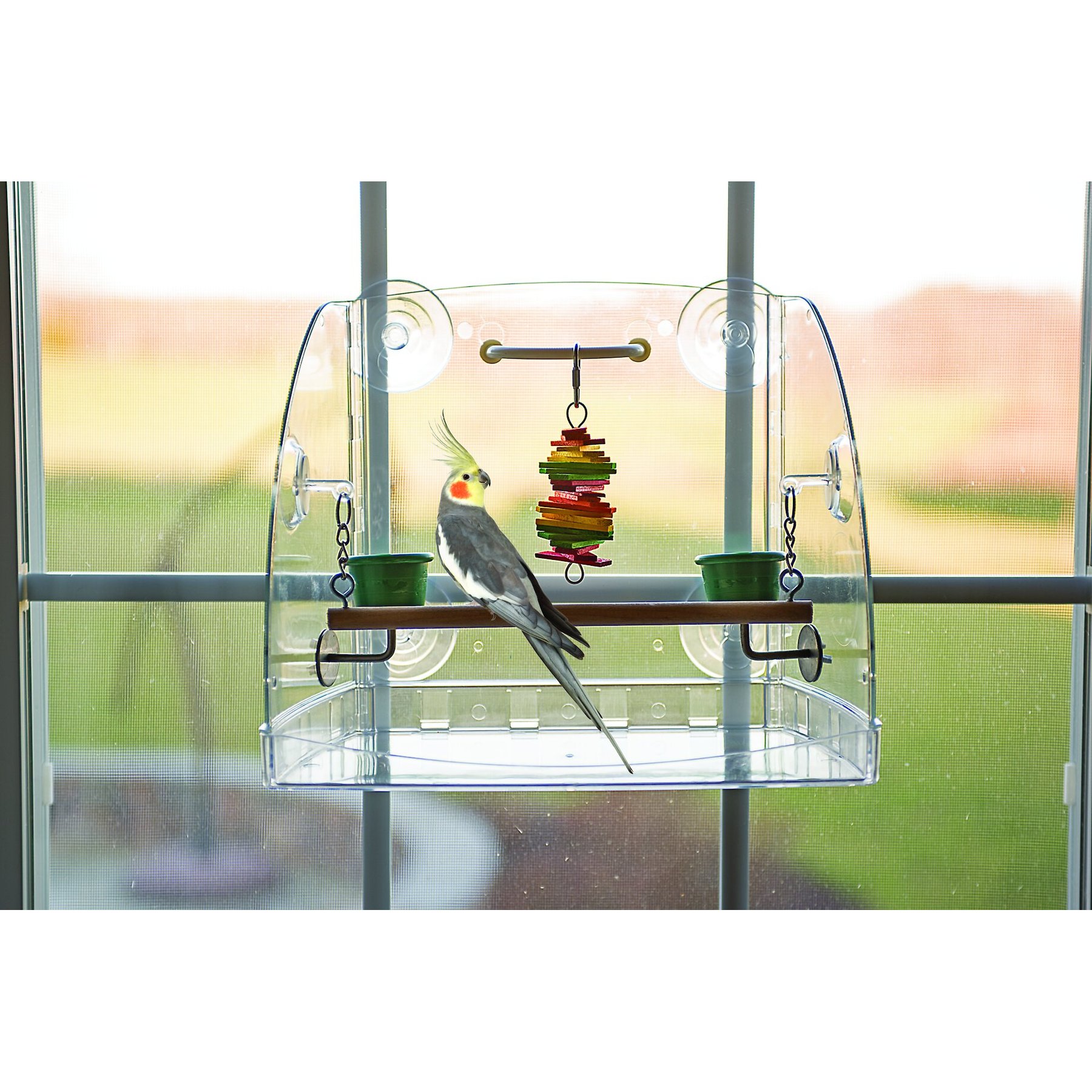 Caitec Featherland Paradise Bird Window Play Center Bird Toy Caitec