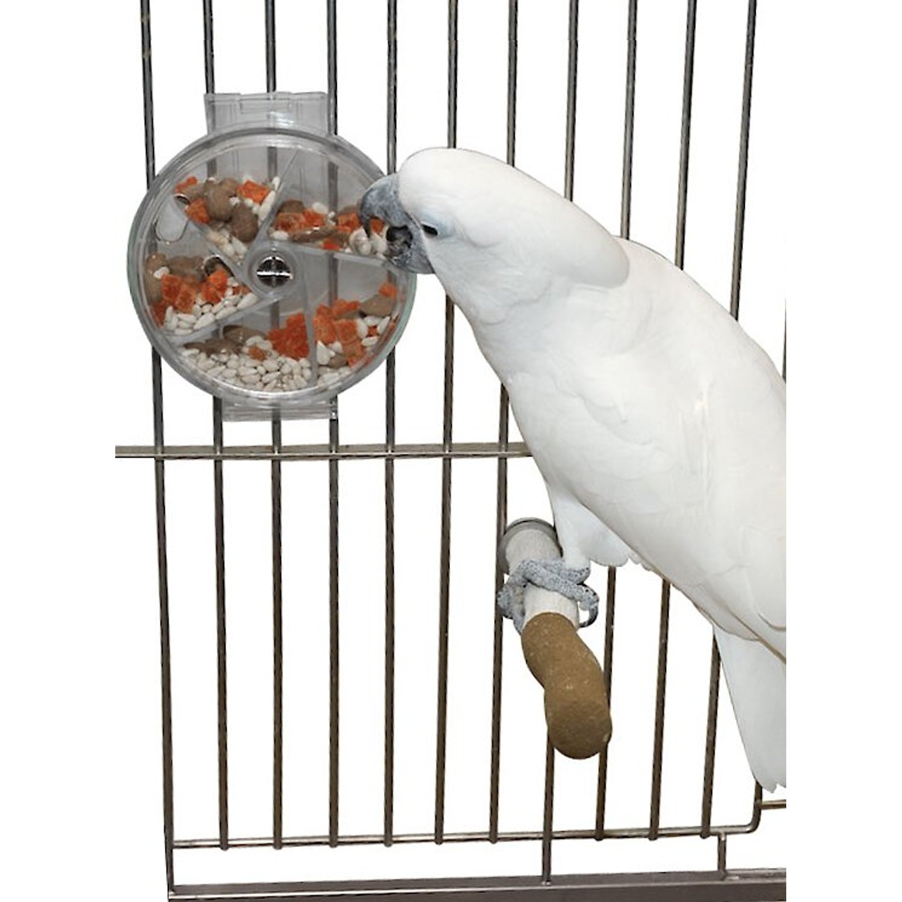 Caitec Featherland Paradise Foraging Wheel Bird Toy Caitec