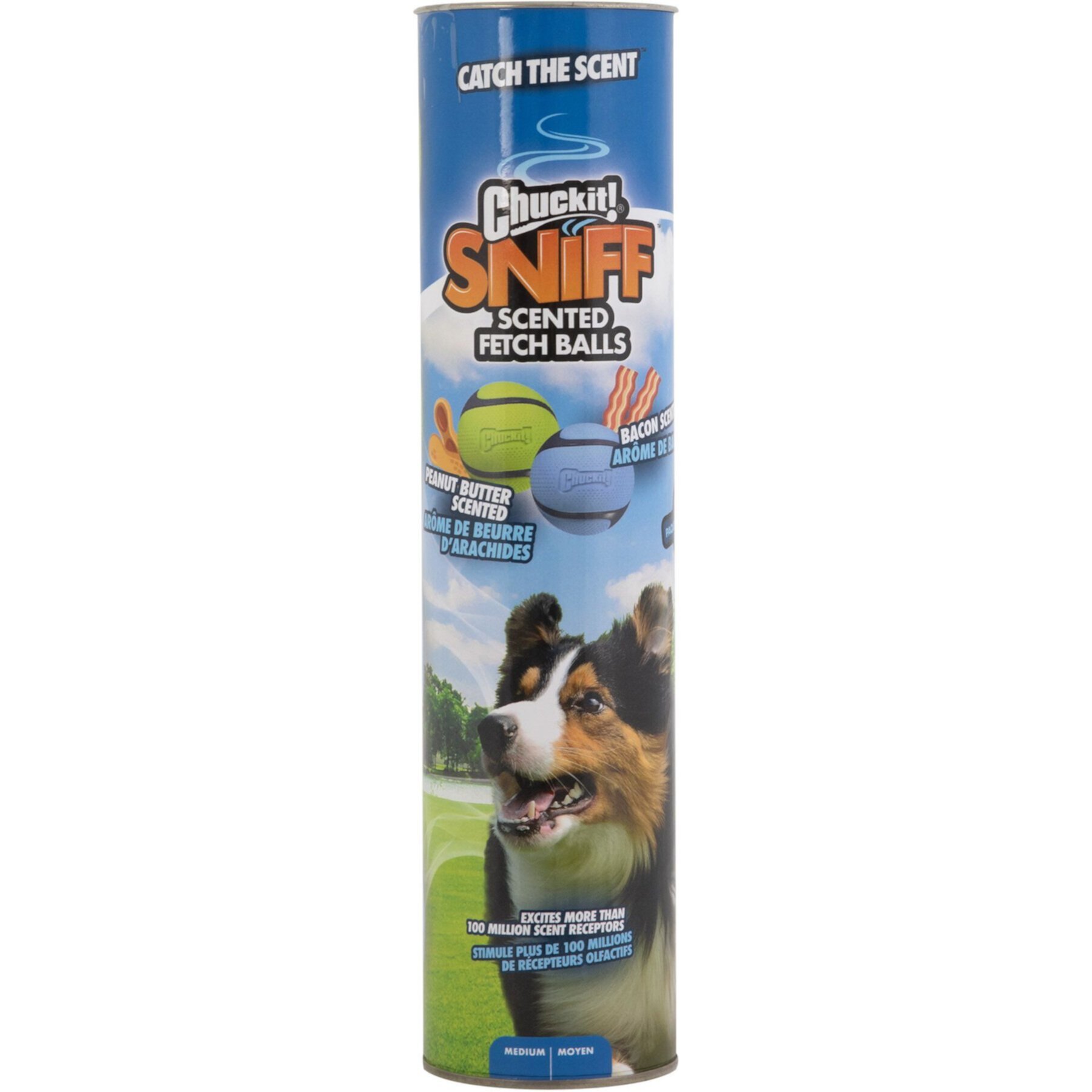 Chuckit! Sniff Fetch Balls Canister Dog Chew Toy, 4 count, Multi Color, Medium Chuckit!