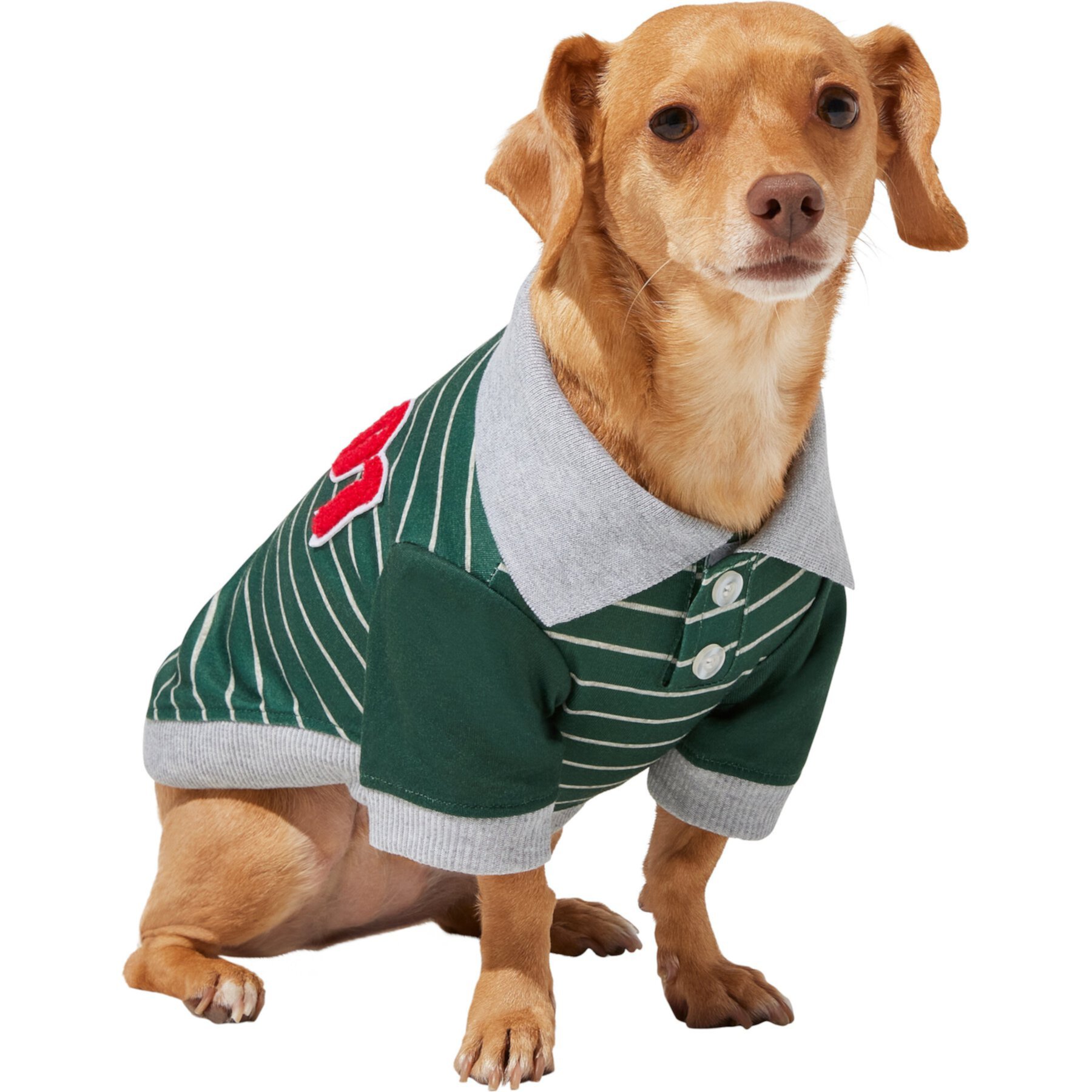 Frisco Green Rugby Dog & Cat Polo Shirt Frisco