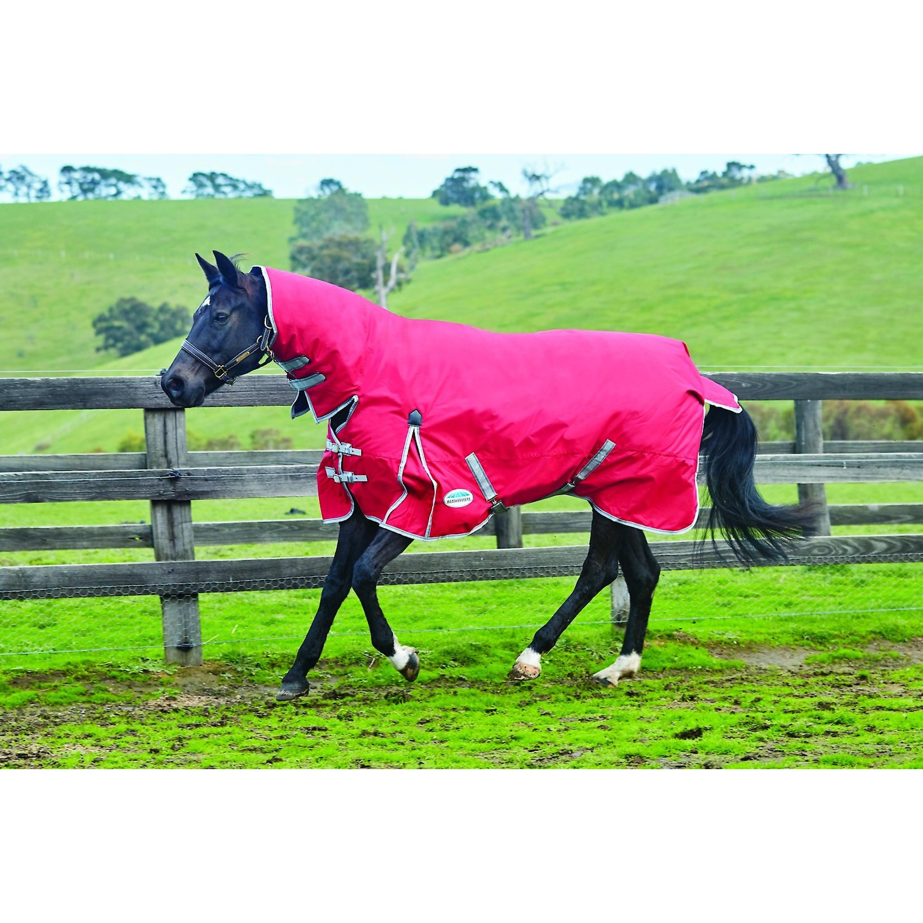 WeatherBeeta Comfitec Classic Combo Neck Lite Horse Blanket Weatherbeeta