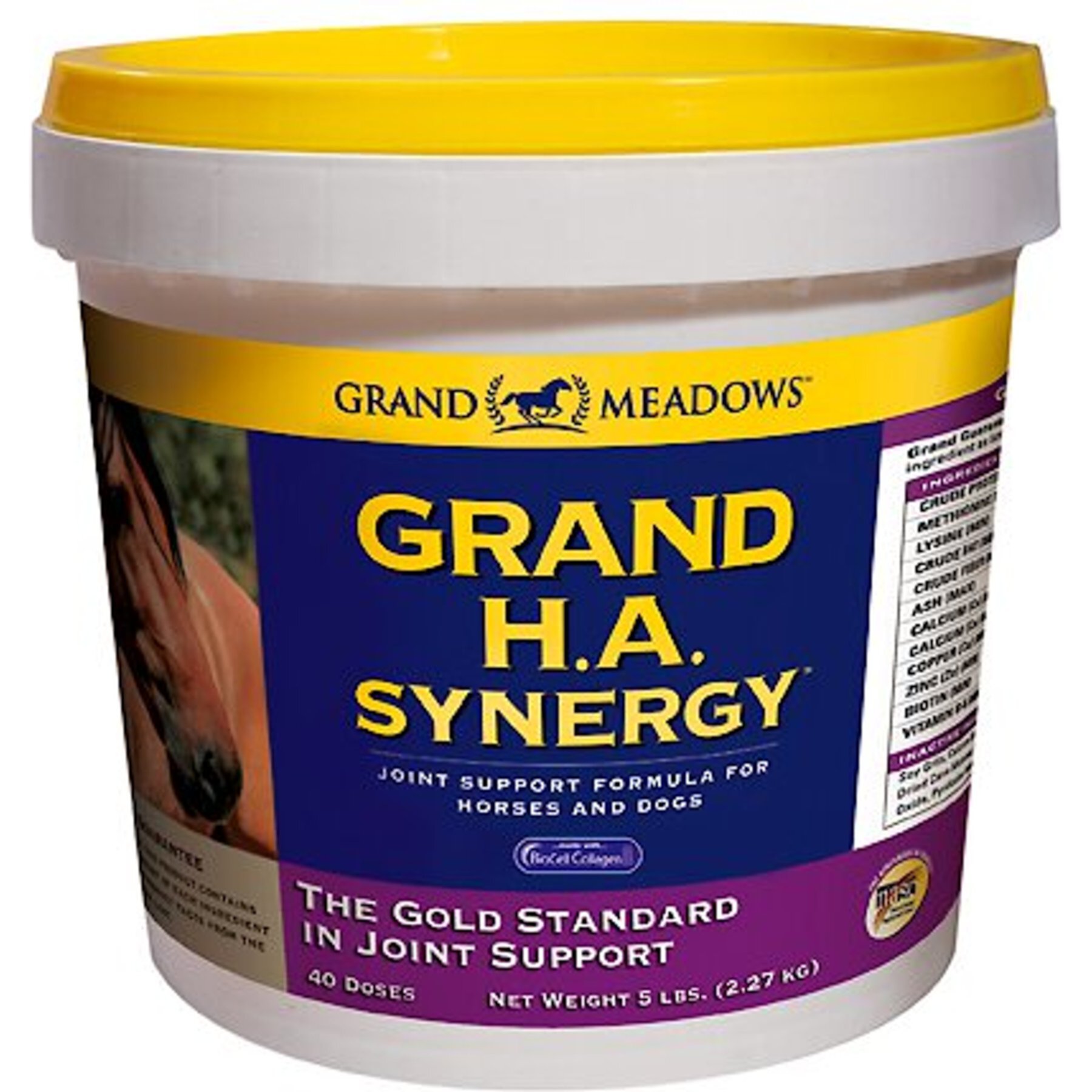 Grand Meadows Grand H.A. Synergy Joint Support Powder Dog & Horse Supplement Grand Meadows