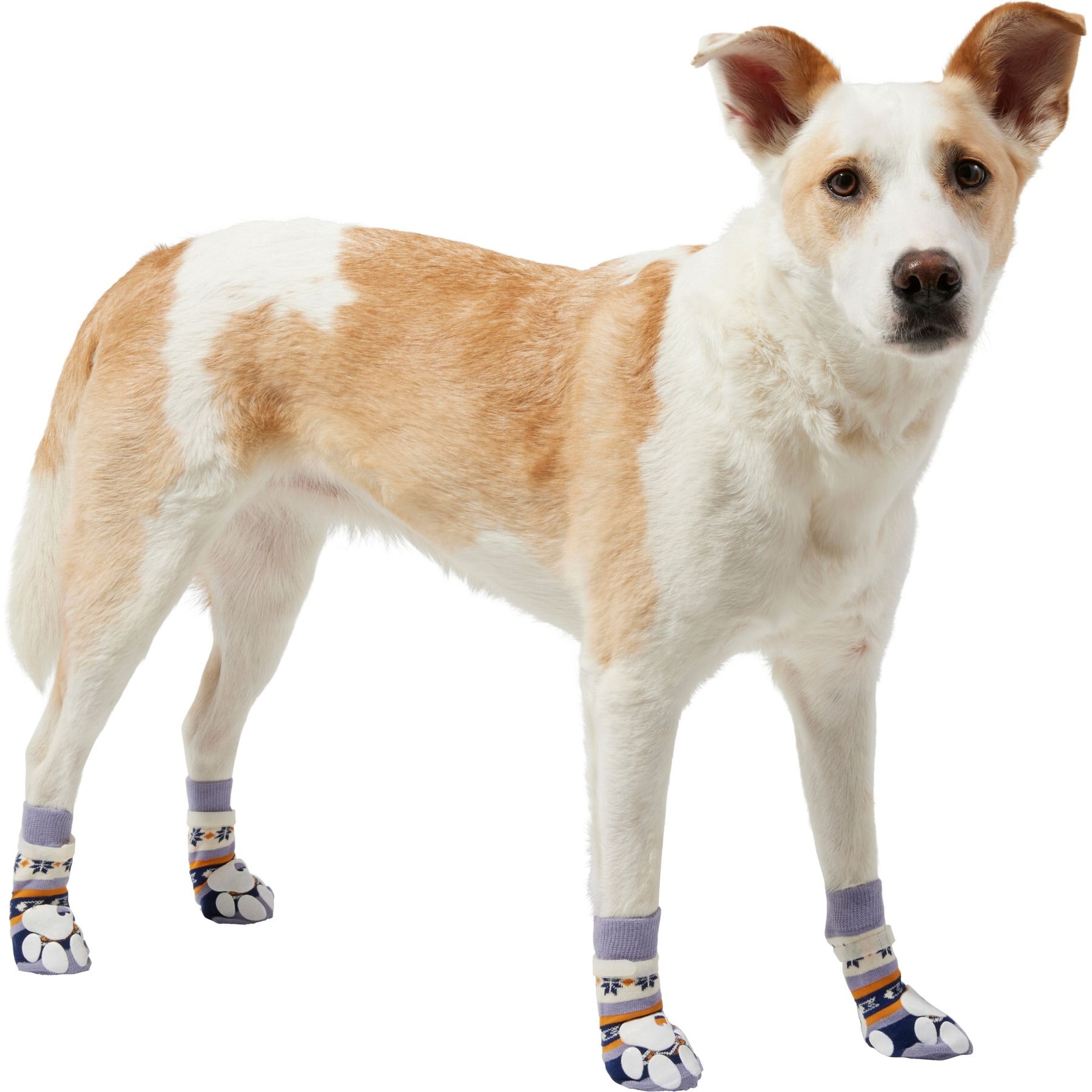 Frisco Non-Skid Dog Socks Frisco