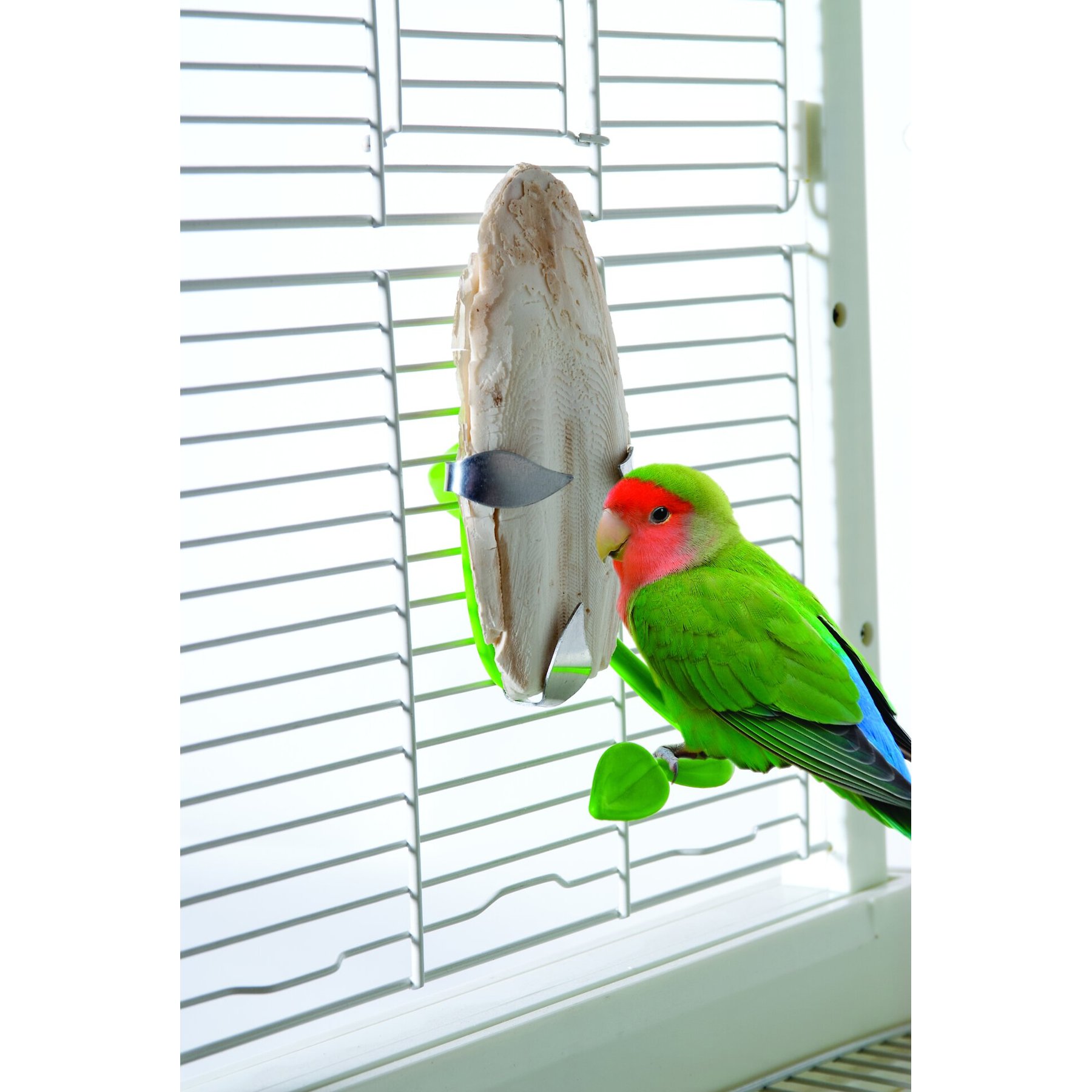 Caitec Featherland Paradise Cuttlebone Holder Bird Toy Caitec