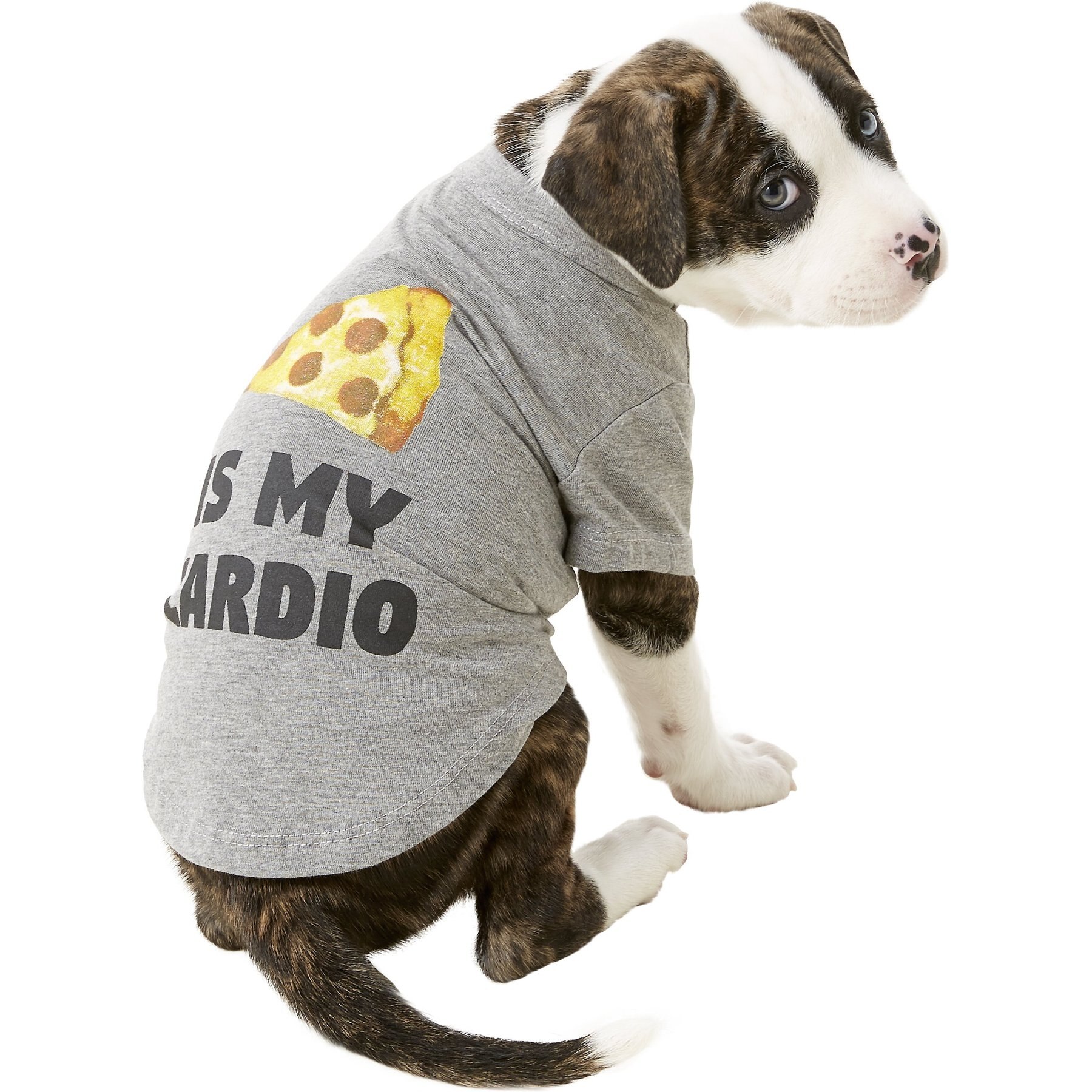 fabdog "Pizza Is My Cardio" Dog & Cat T-Shirt fabdog