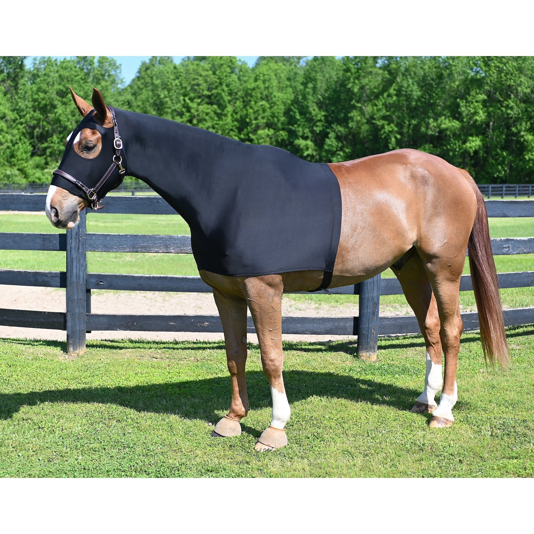 Gatsby StretchX Pull On Slicker Horse Hood Gatsby