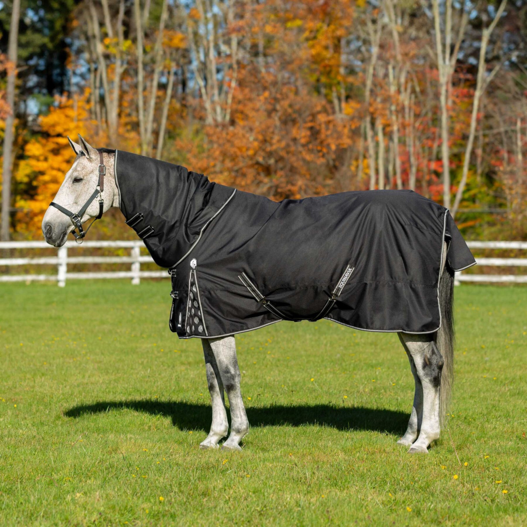 Equinavia Norse 200-g Horse Turnout Neck Cover Equinavia