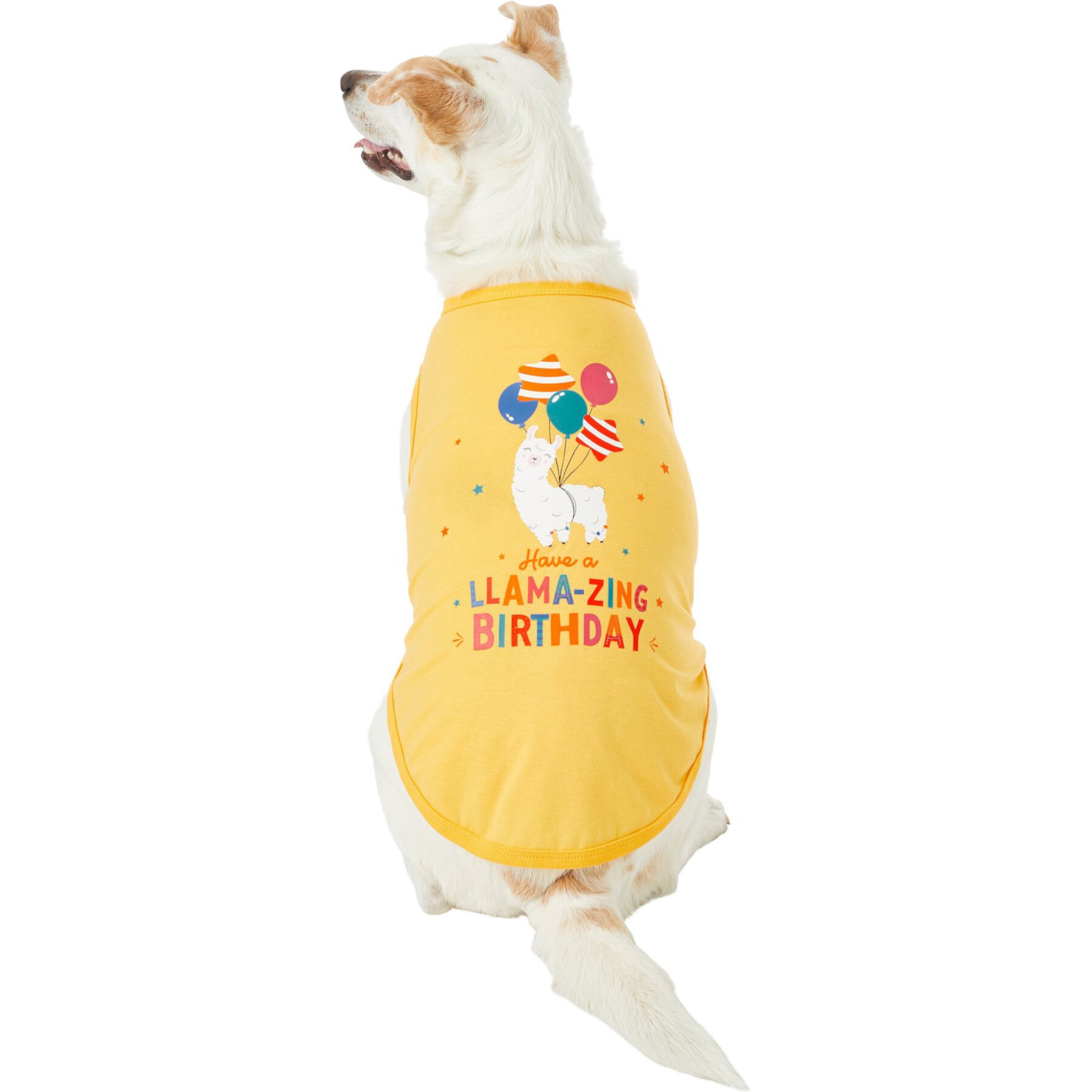 Frisco Birthday Vibe Dog & Cat Tank-Top Frisco