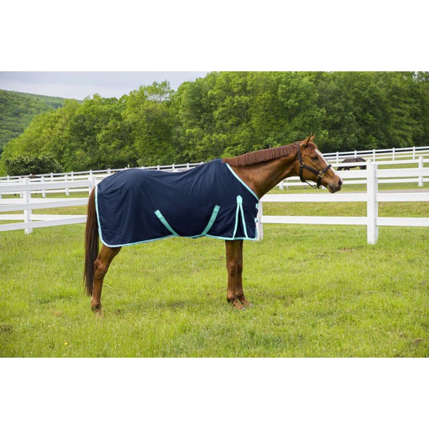 TuffRider Kozy Komfort Stable Horse Sheet TuffRider