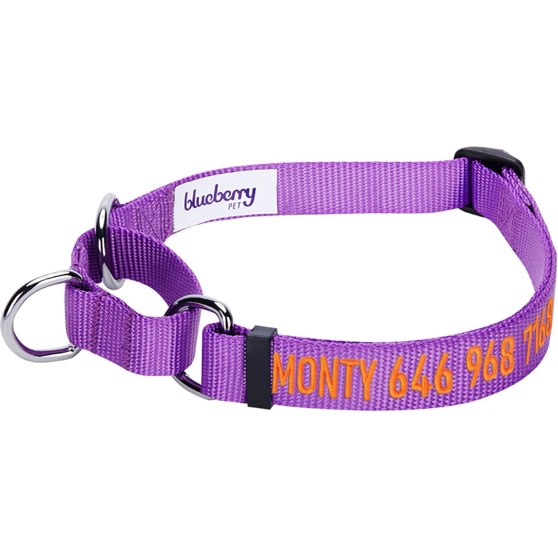 Blueberry Pet Safety Training Personalized Martingale Dog Collar Blueberry Pet