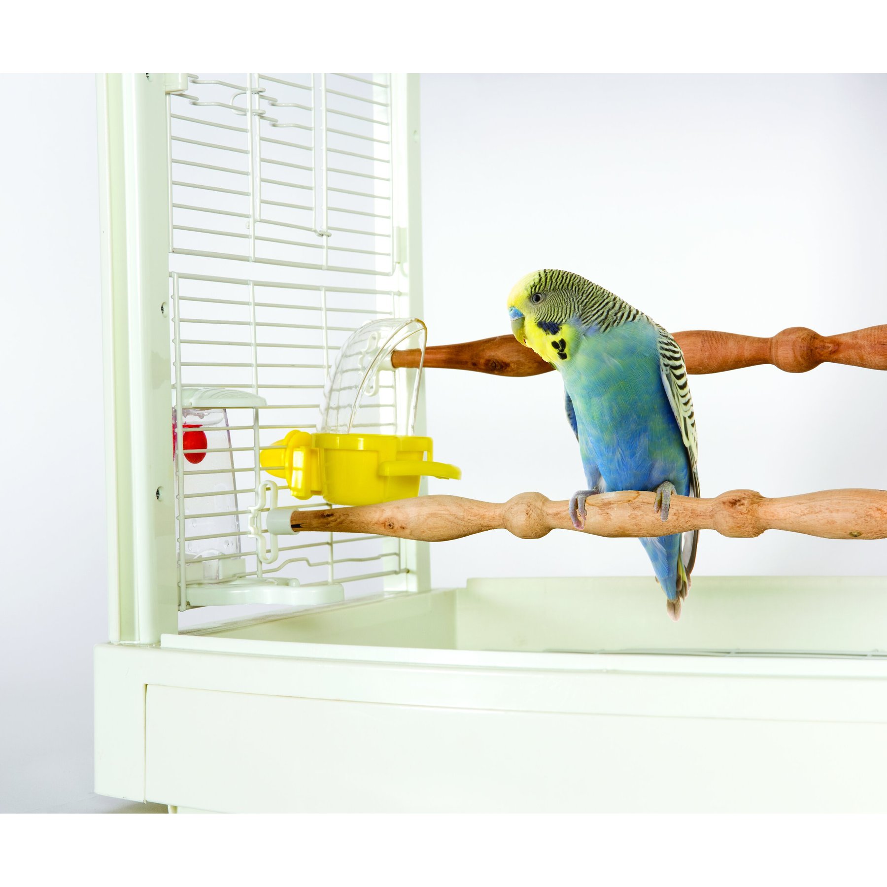 Caitec Featherland Paradise Cage Mounted Hooded Cup Bird Toy Caitec