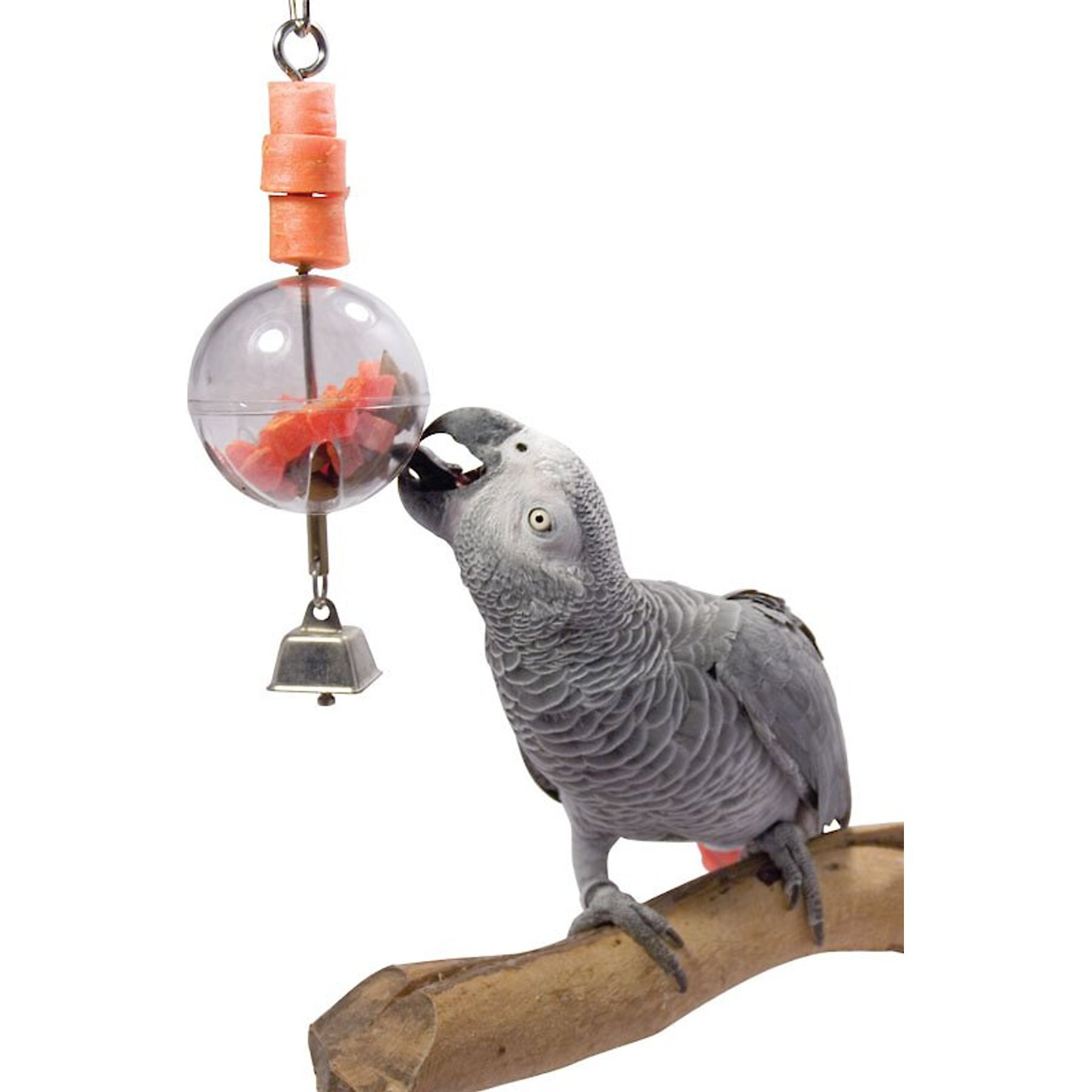 Caitec Featherland Paradise Foraging Sphere Bird Toy Caitec