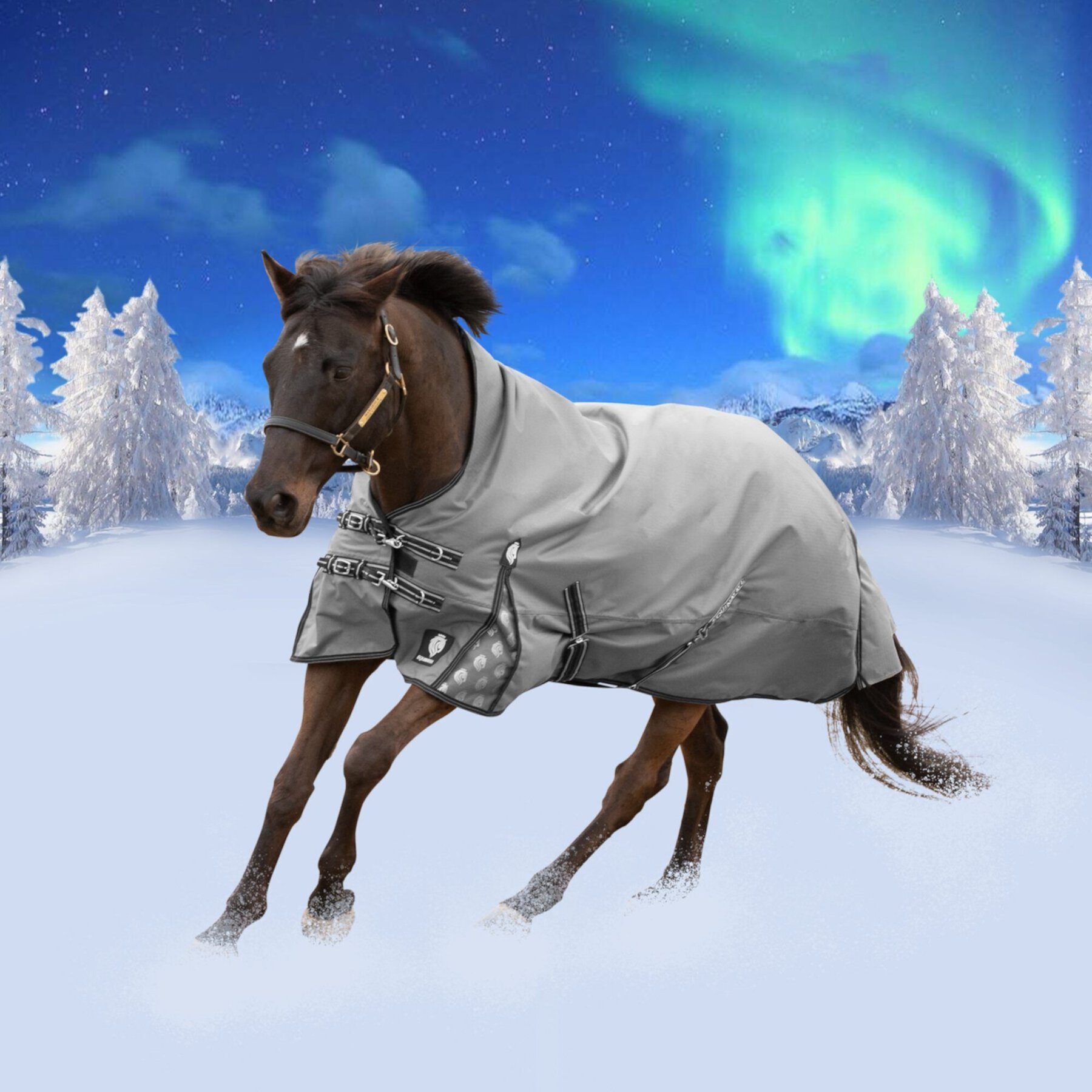 Equinavia Arktis Extended Neck Midweight 200-g Horse Turnout Blanket, Charcoal Gray Equinavia