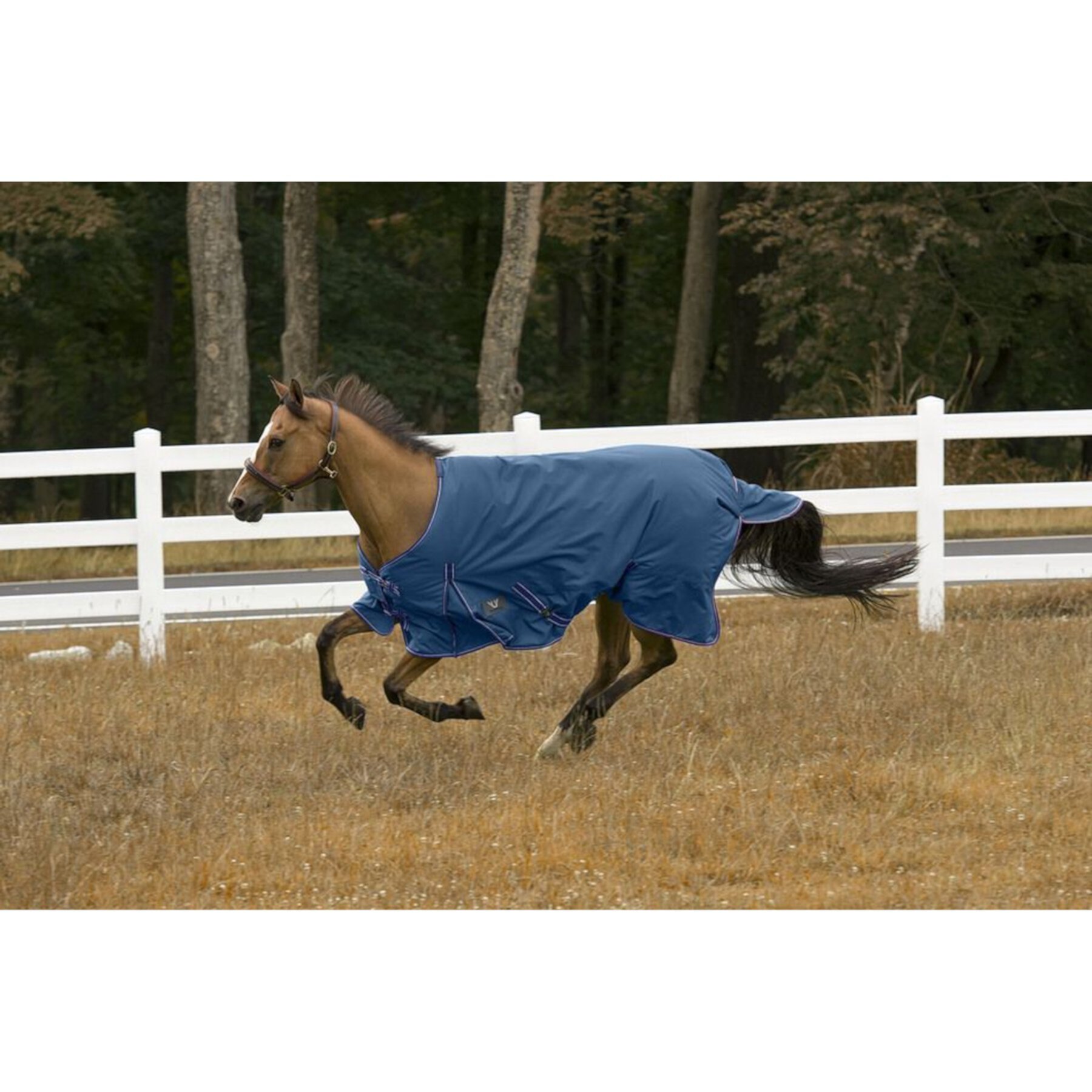 TuffRider 600D Comfy Medium Weight 200G Standard Neck Winter Horse Blanket TuffRider