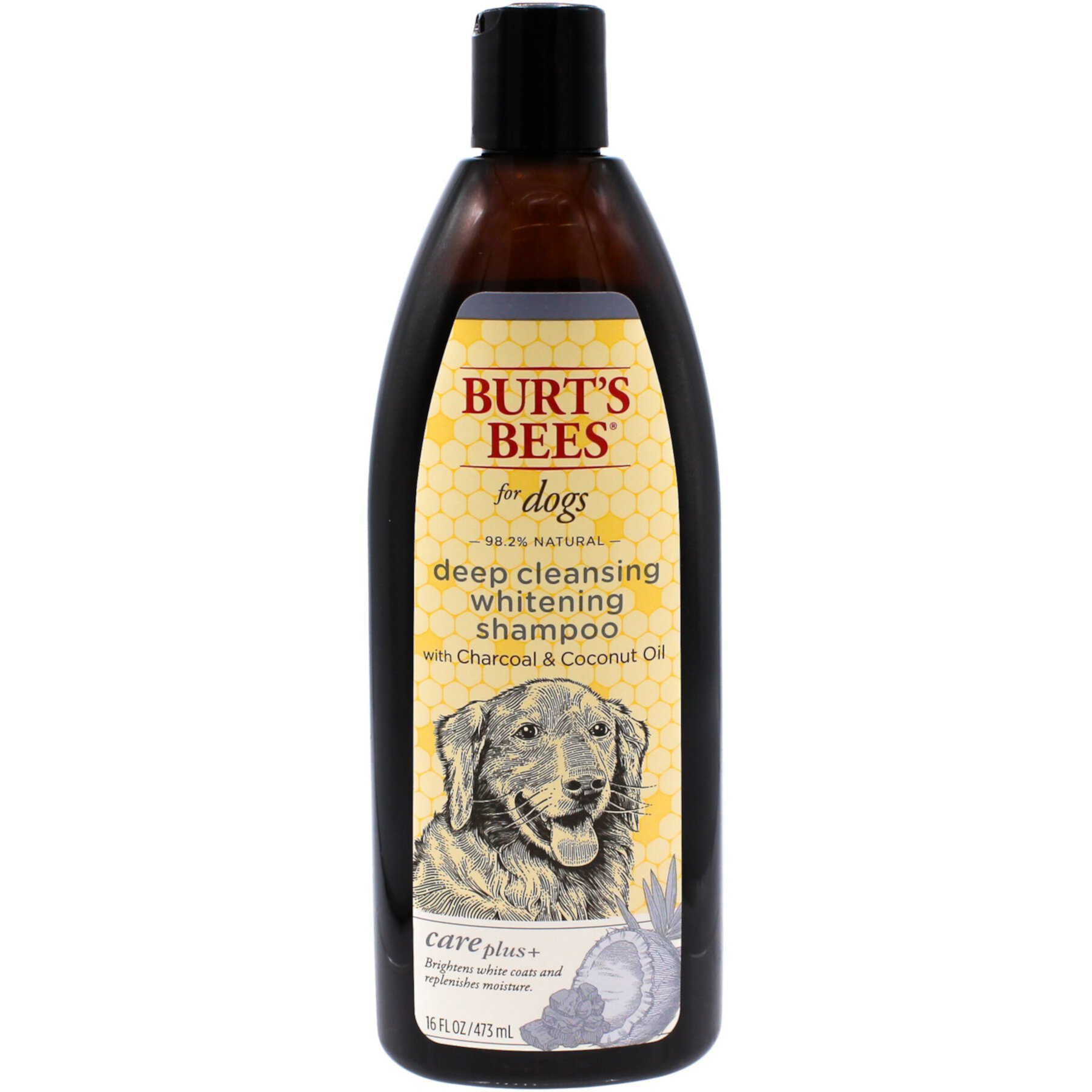 Burt's Bees Care Plus+ Charcoal & Coconut Oil Deep Cleansing Whitening Dog Shampoo Burt'S Bees