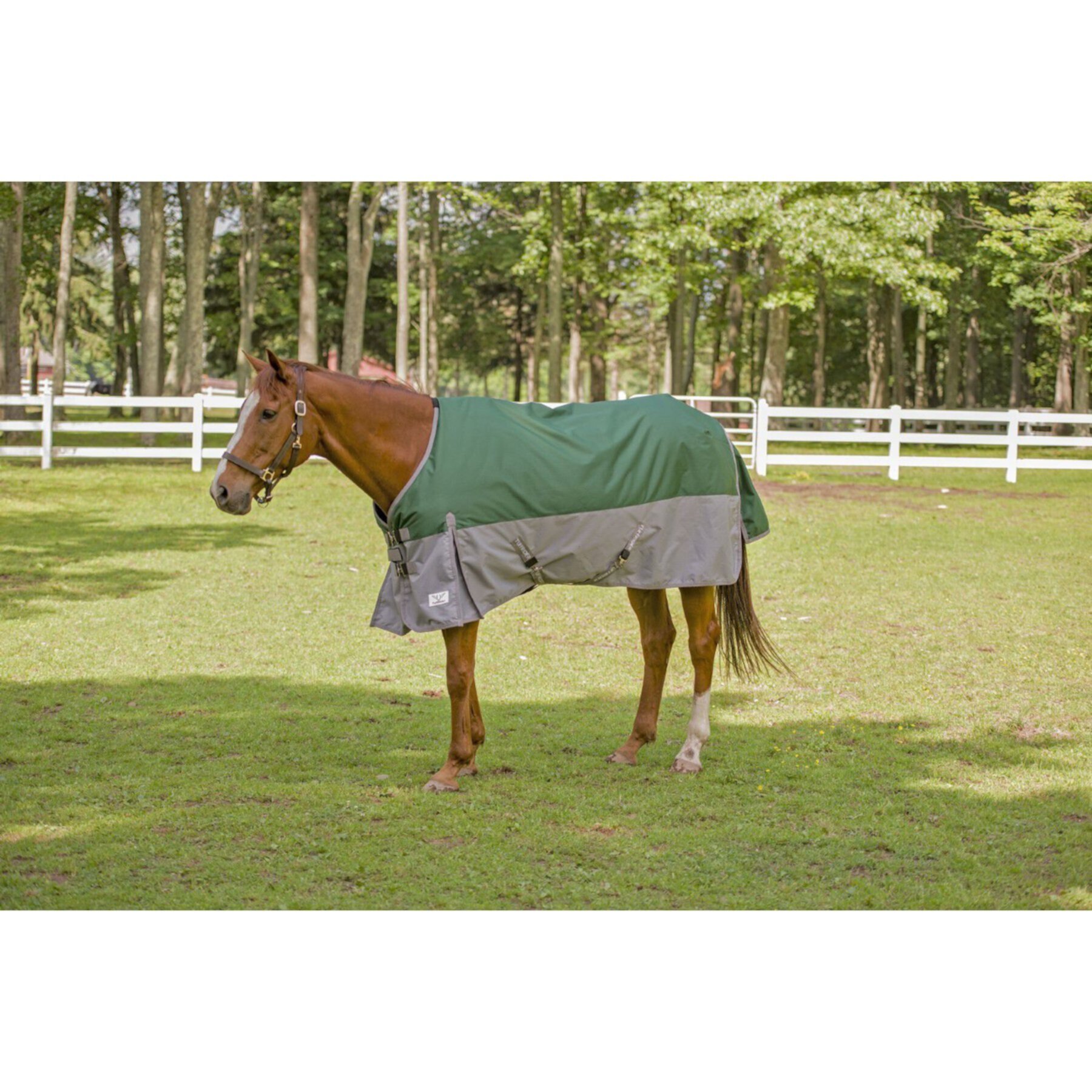 TuffRider Bonum 1200D Medium Weight 200G Standard Neck Two Tone Horse Turnout Blanket TuffRider