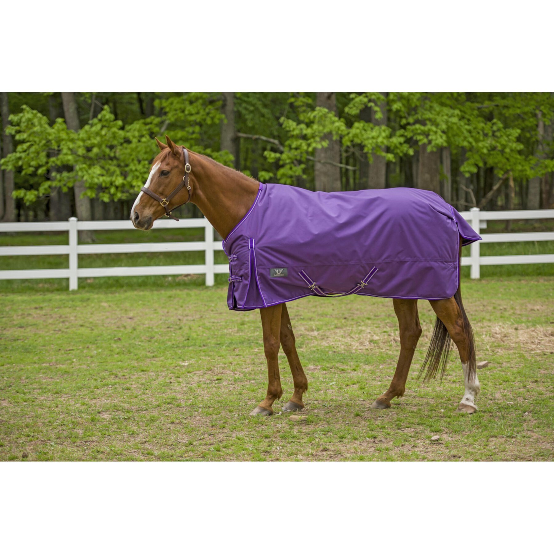 TuffRider 1680D Super Comfy Medium Weight 200G Standard Neck Horse Blanket TuffRider