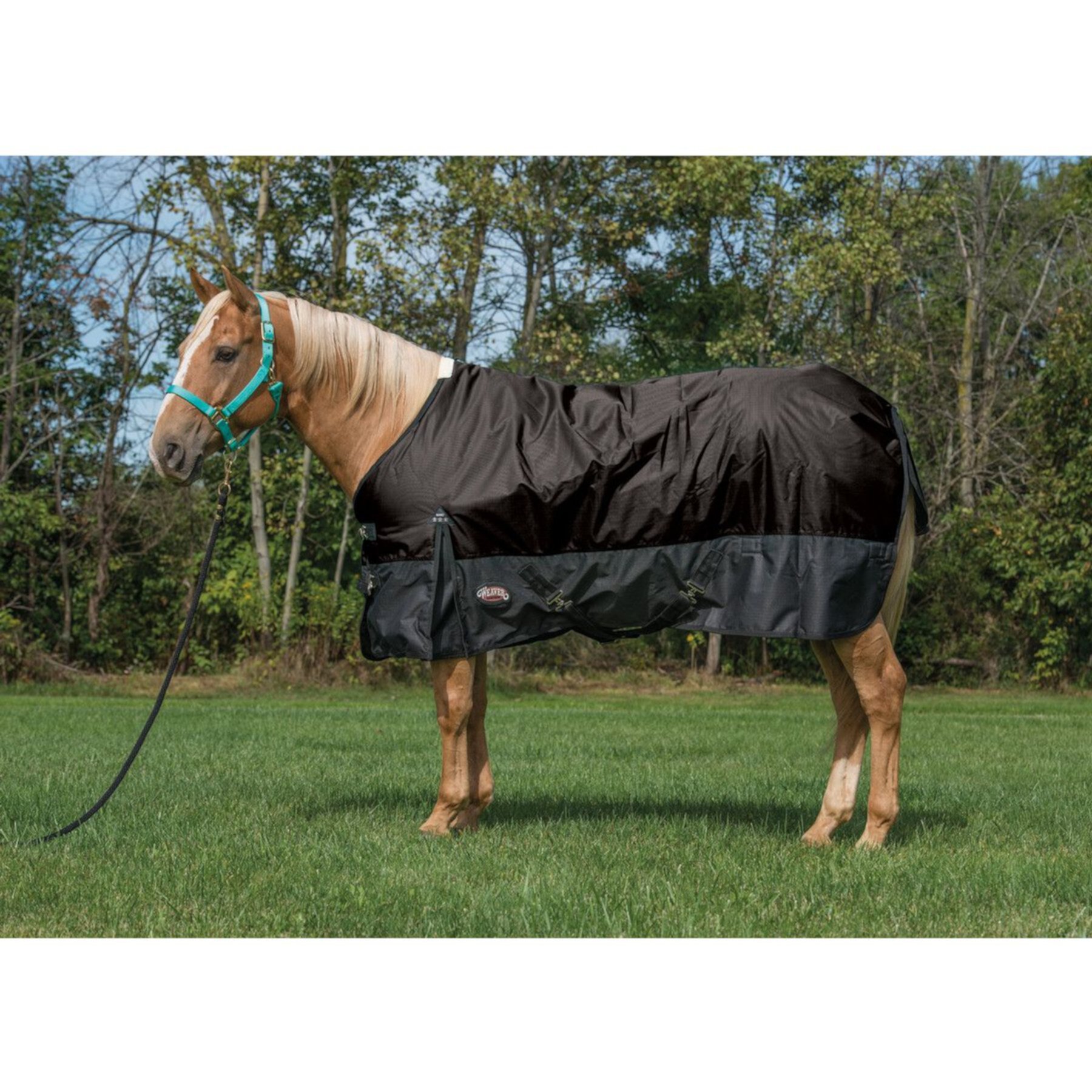 Weaver Leather Economy 600D Turnout Horse Blanket Weaver Leather