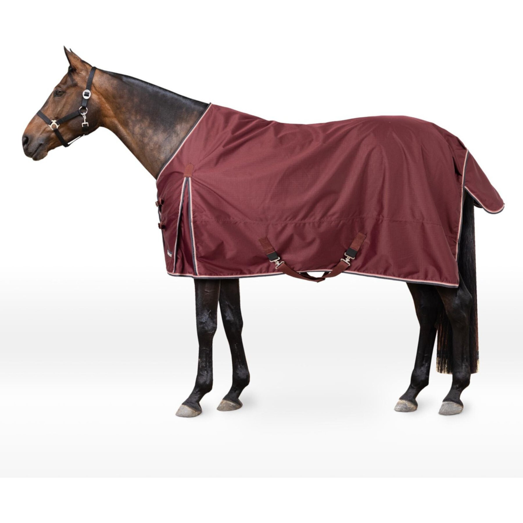 Horze Glasgow Lightweight 100-g Horse Turnout Blanket Horze