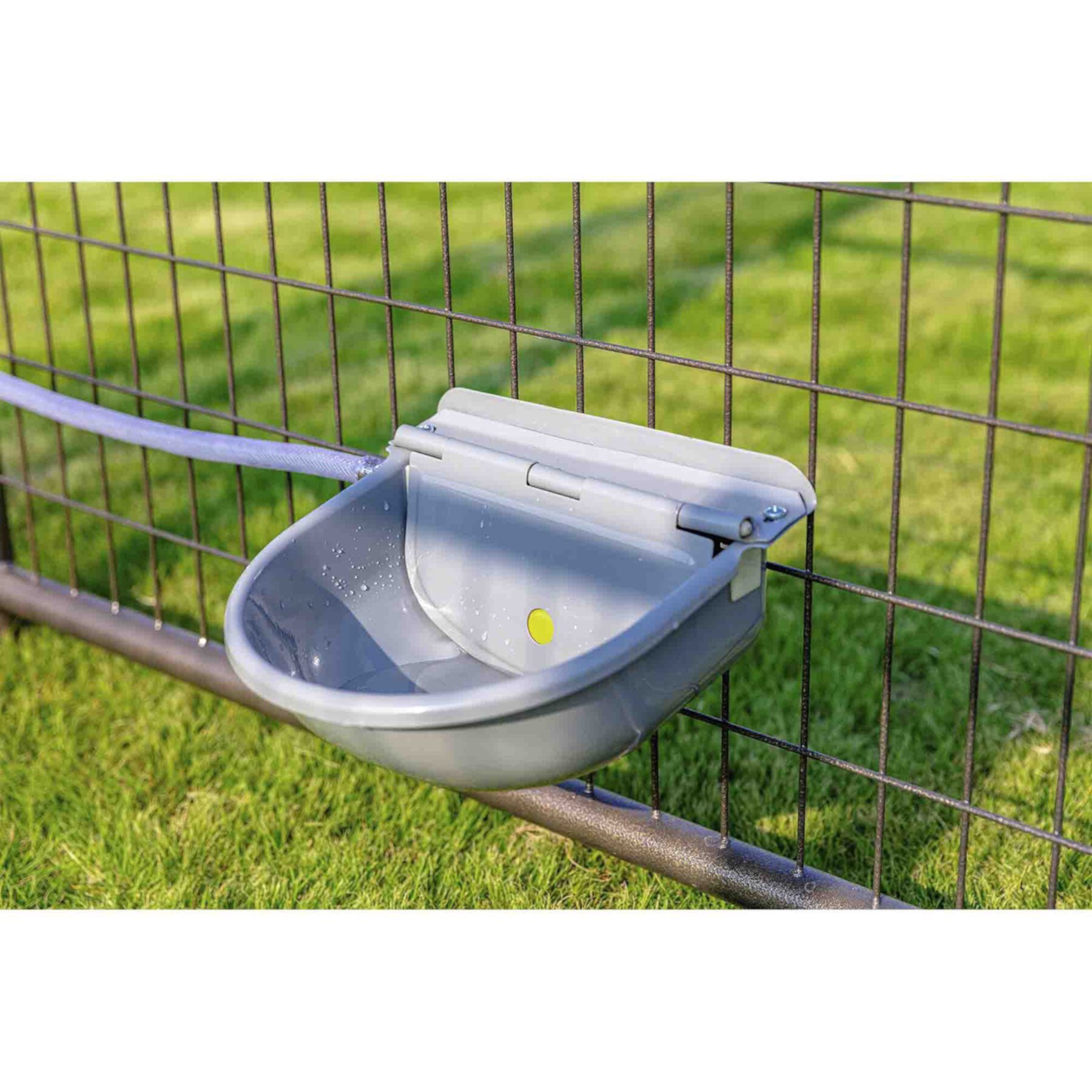 Win World Gazebo Automatic Dog & Cat Feeder, Grey, Large Win World