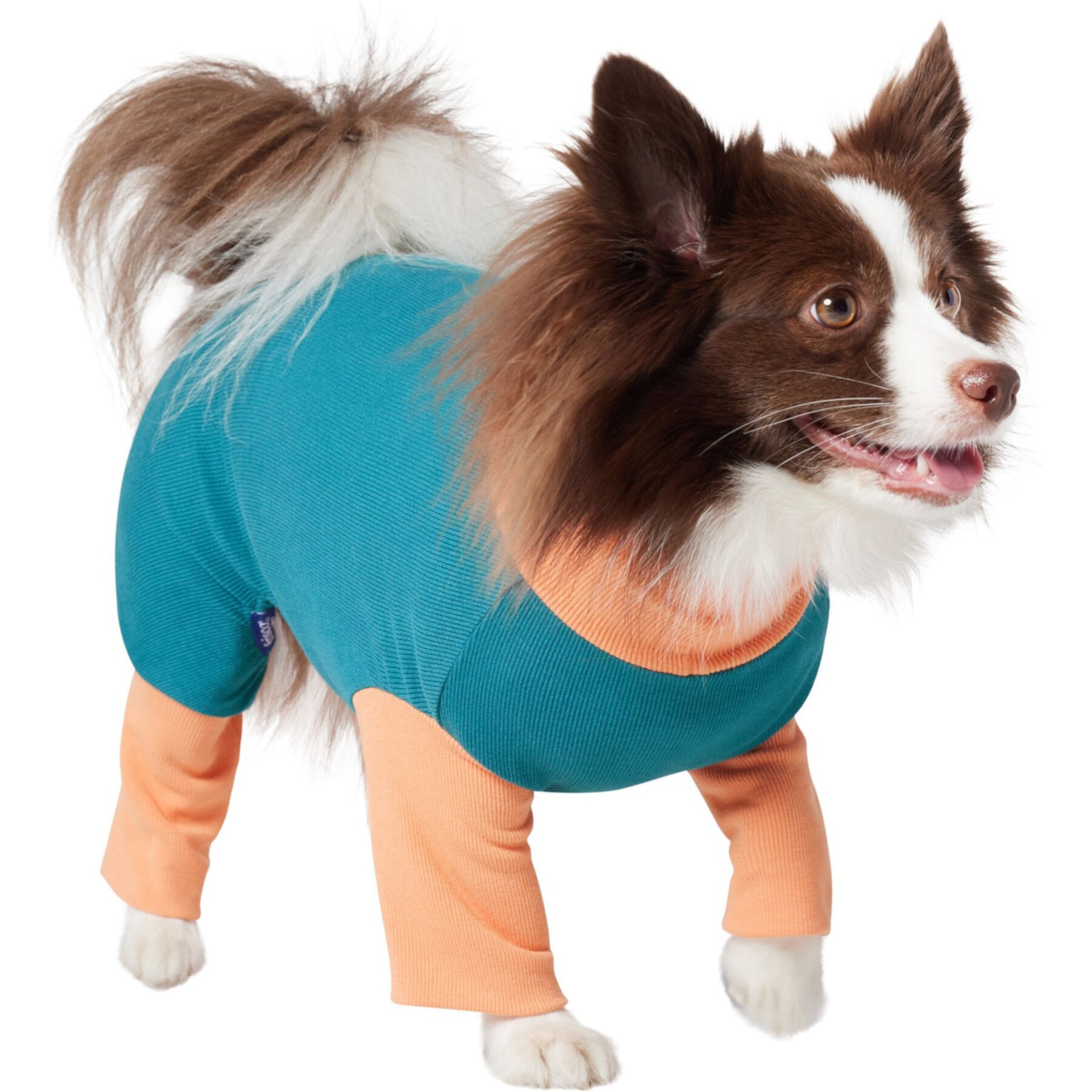 Frisco Convertible Funnel Neck Colorblock Dog & Cat Playsuit Frisco