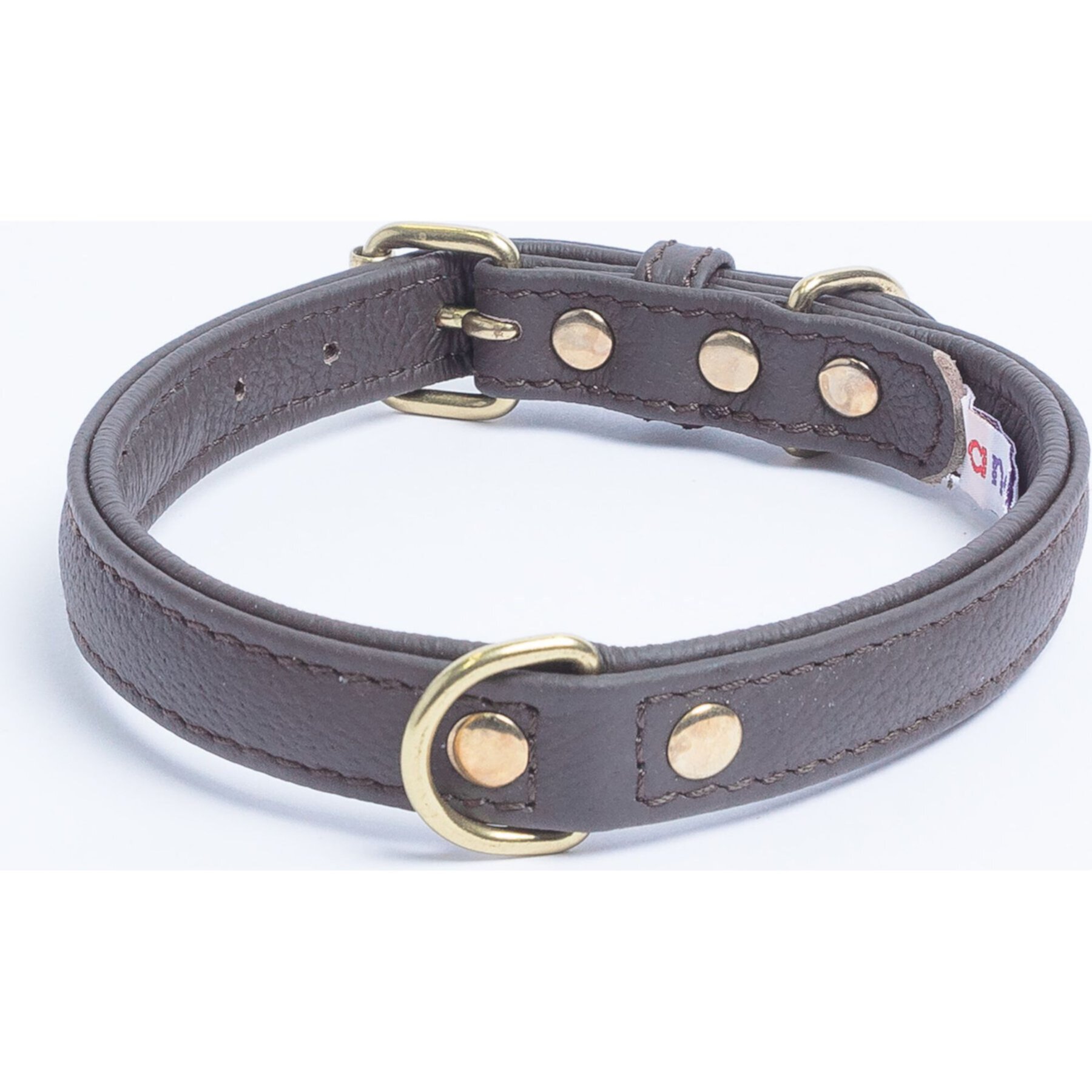 Angel Alpine Padded Leather Standard Dog Collar Angel