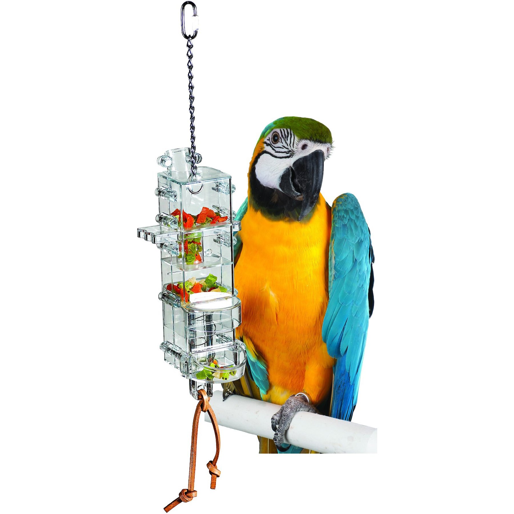 Caitec Featherland Paradise Tug 'N Slide Tower Bird Toy Caitec