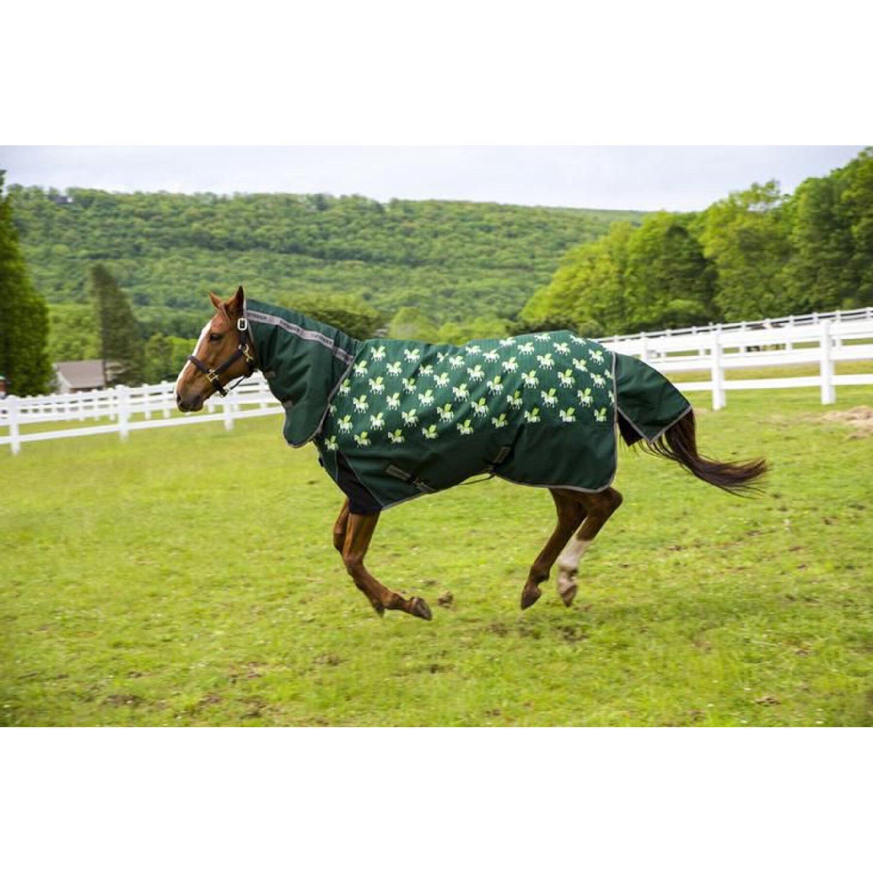 TuffRider 1200D Ripstop 220G Polyfill Horse Print Combo Neck Two Tone Horse Turnout Blanket TuffRider