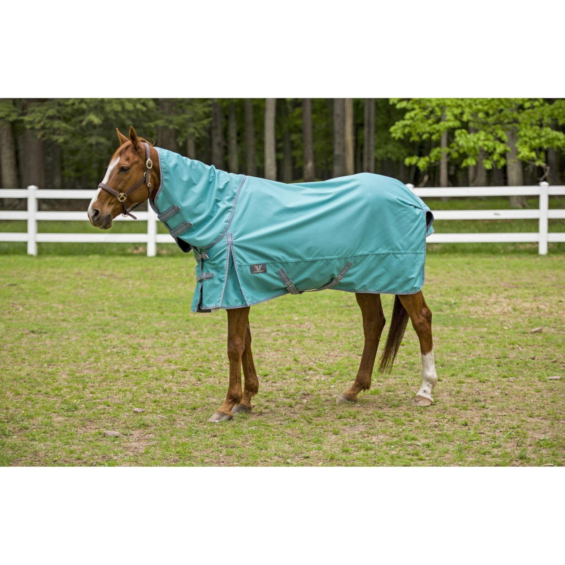 TuffRider 1200D Winter Comfy Detachable Neck Horse Sheet TuffRider