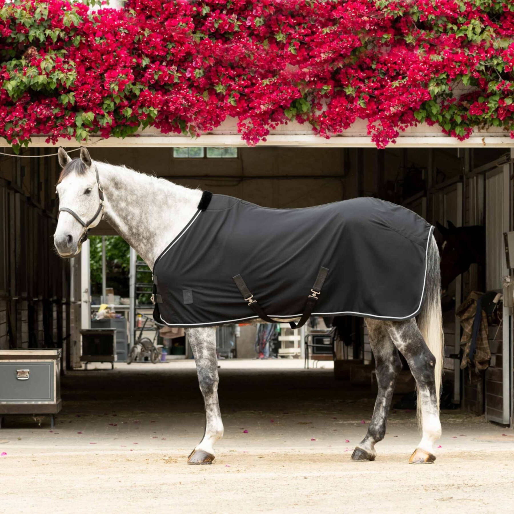 Equinavia Vind Horse Stable Sheet Equinavia