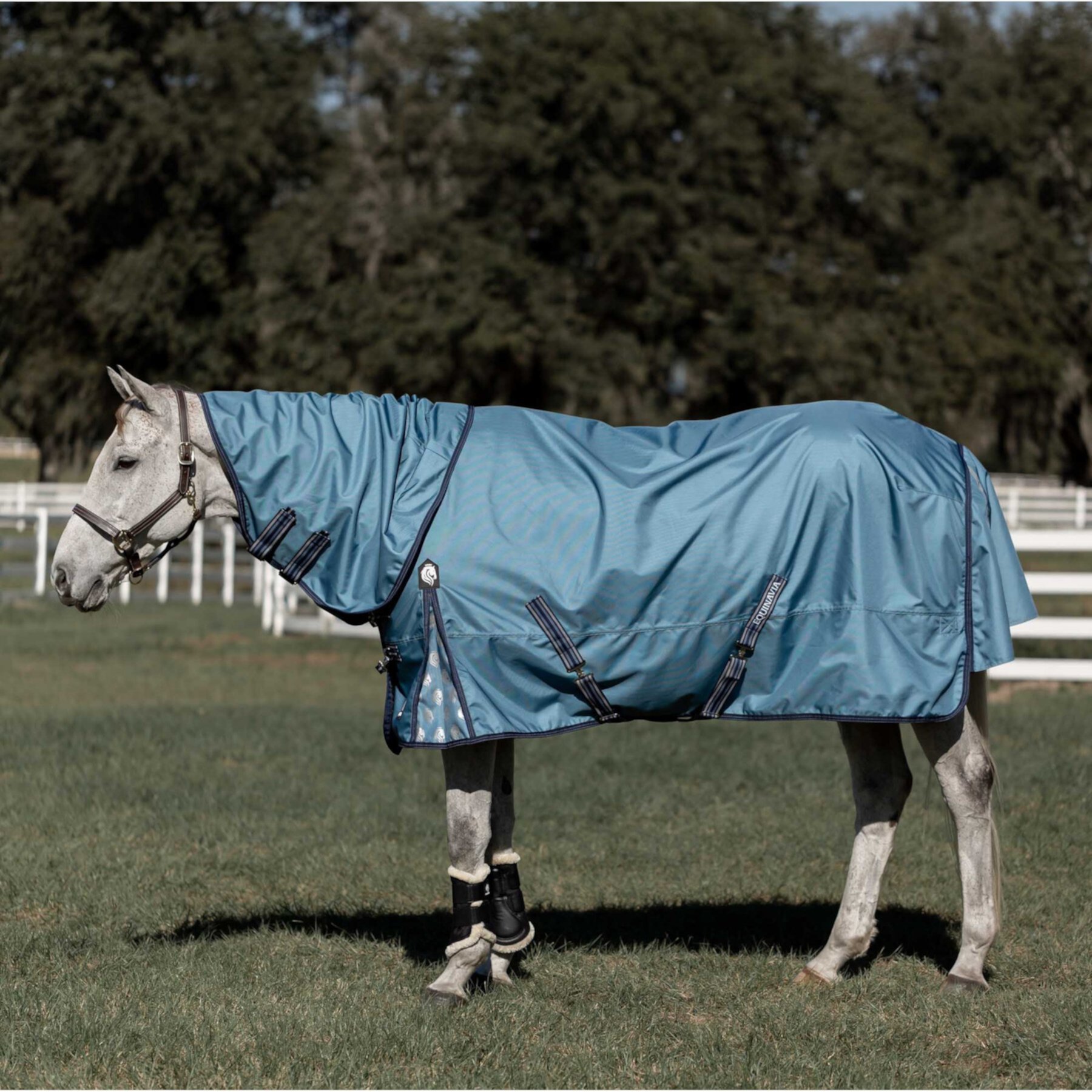 Equinavia Thunder 360 Detachable Neck Midweight 200-g Horse Turnout Blanket Equinavia