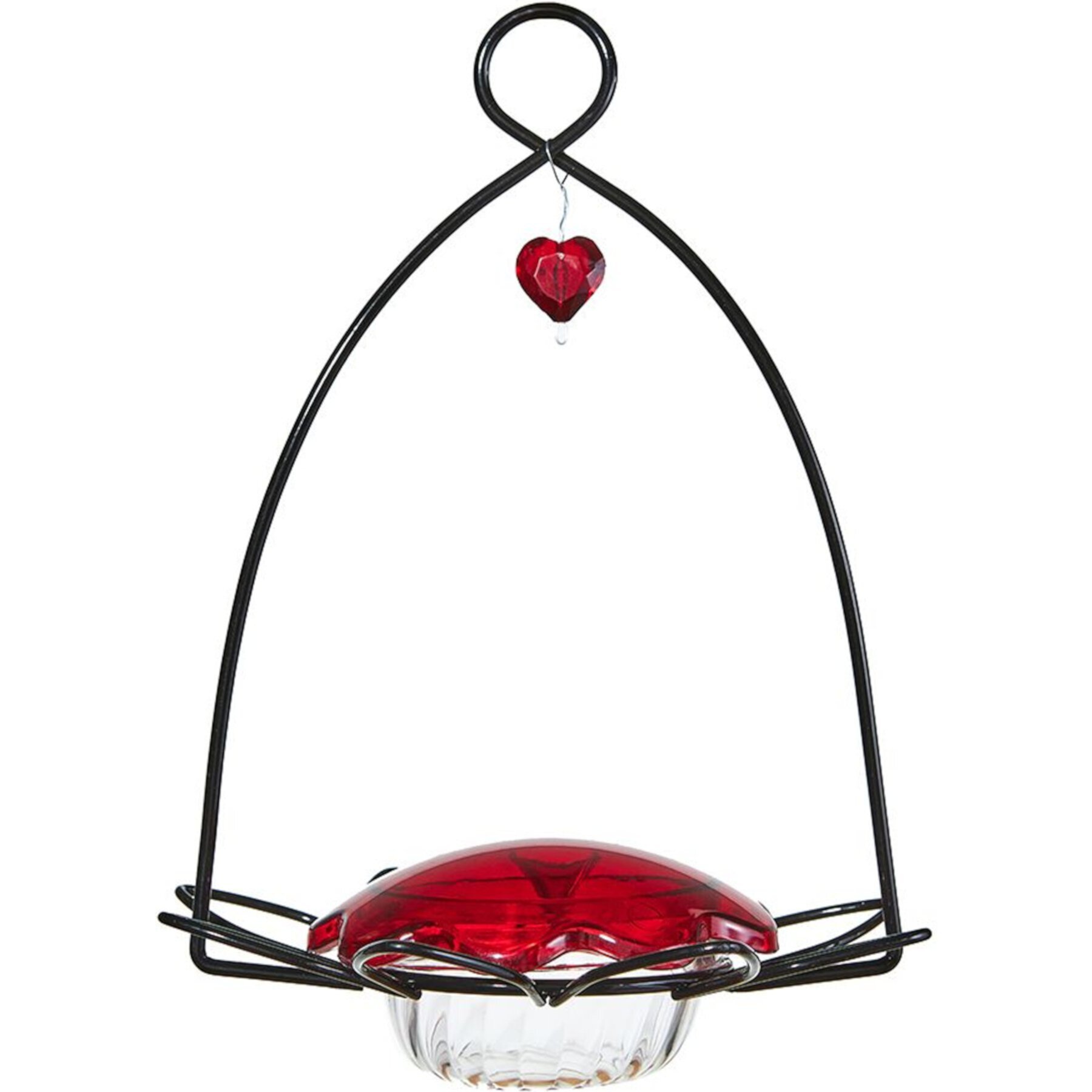 Birds Choice Hummingbird for Nectar Bird Feeder, Small Birds Choice