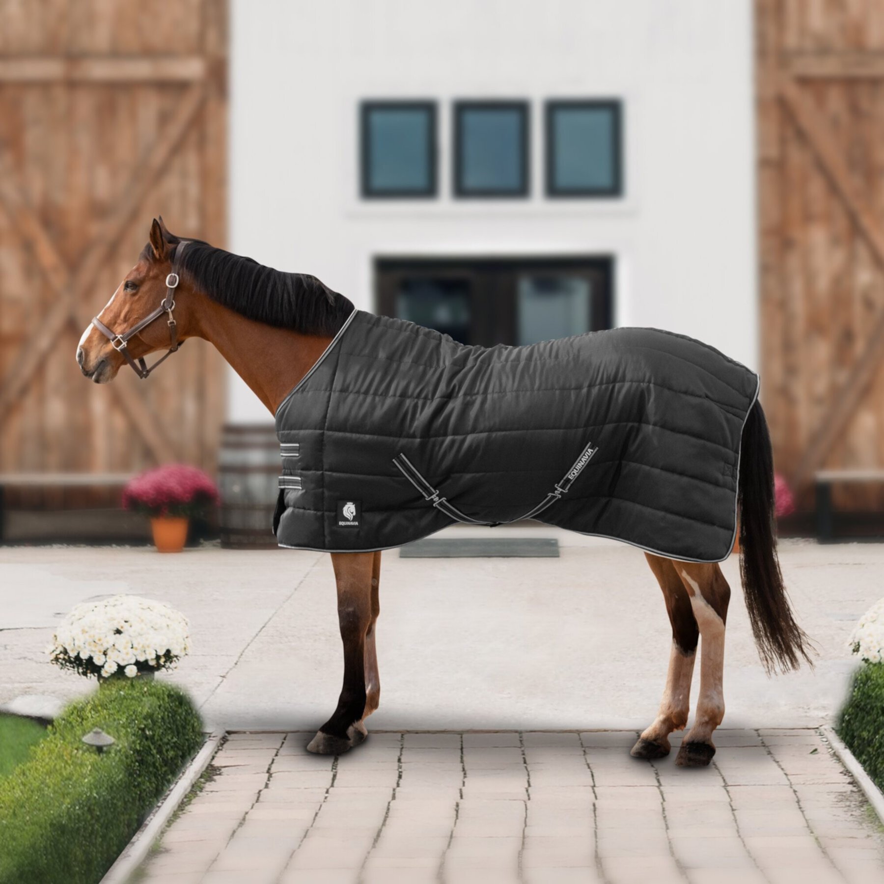 Equinavia Norse 200-g Horse Stable Blanket, Black Equinavia