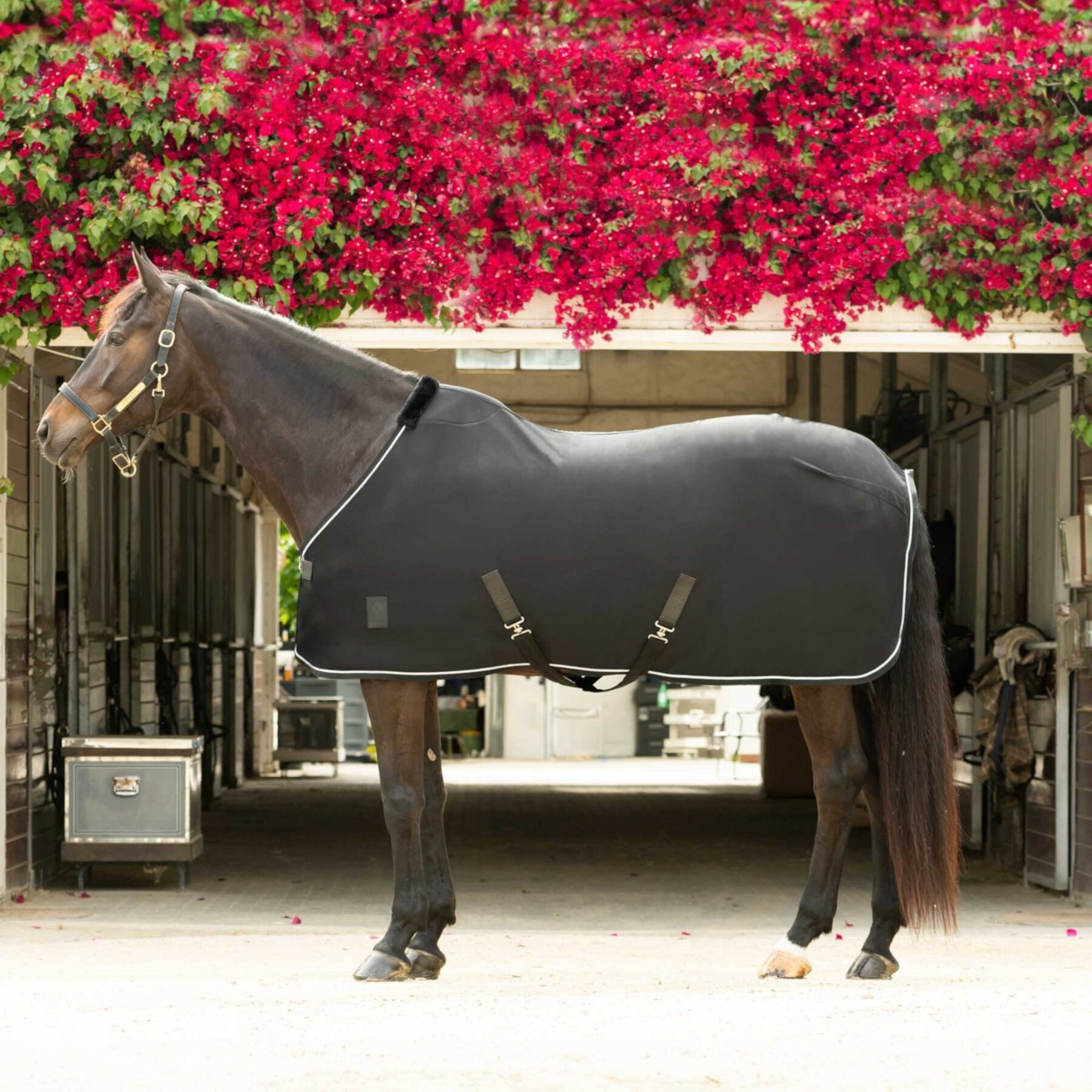 Equinavia Torr Quick Dry Horse Cooler Equinavia