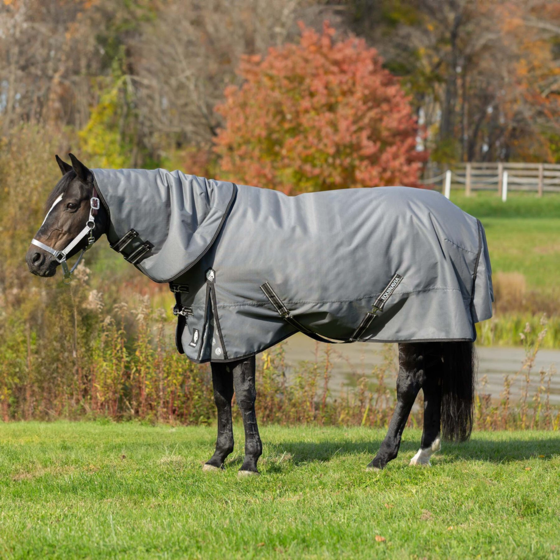 Equinavia Arktis No Fill Horse Turnout Neck Cover Equinavia