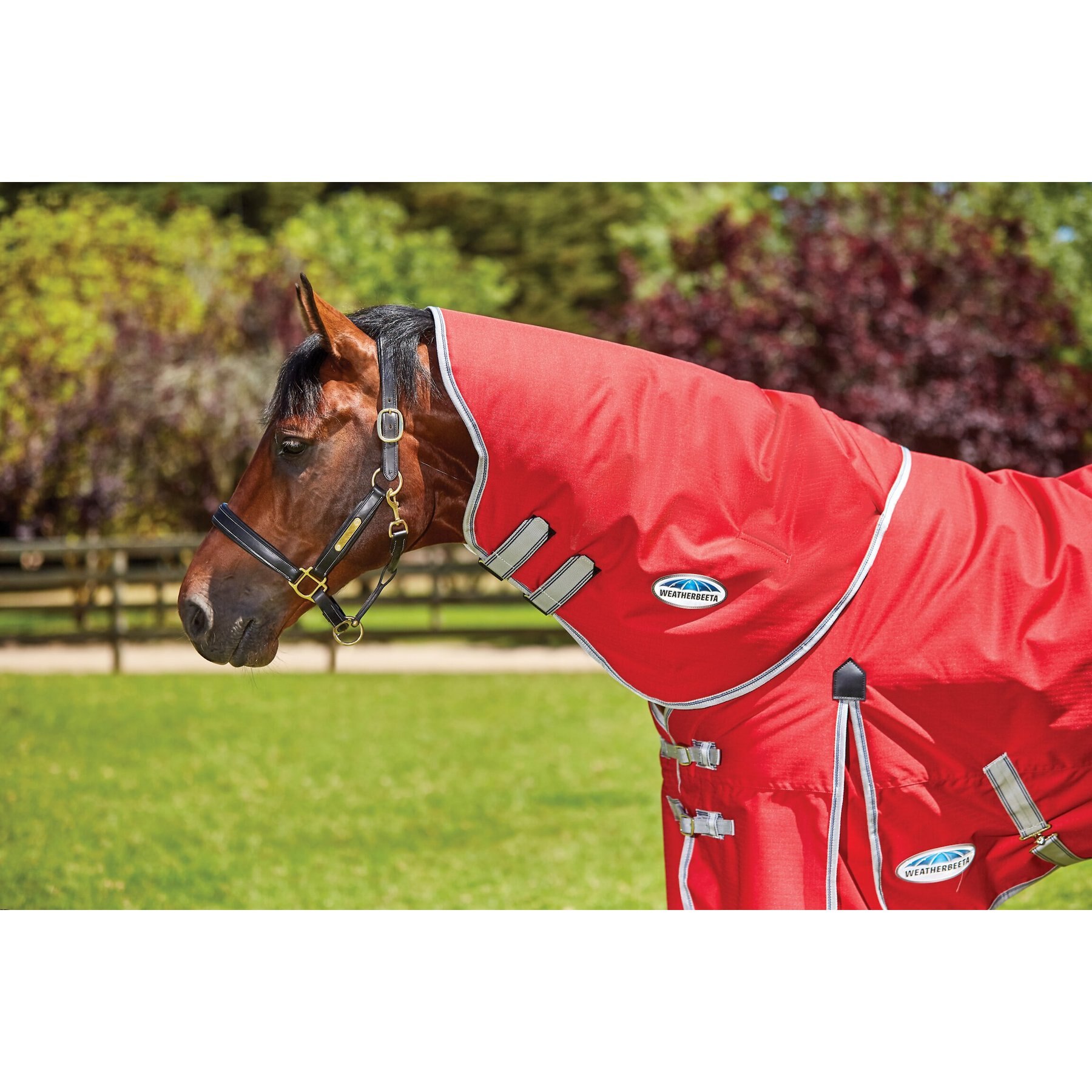 WeatherBeeta Comfitec Classic Neck Rug Lite Horse Blanket Weatherbeeta