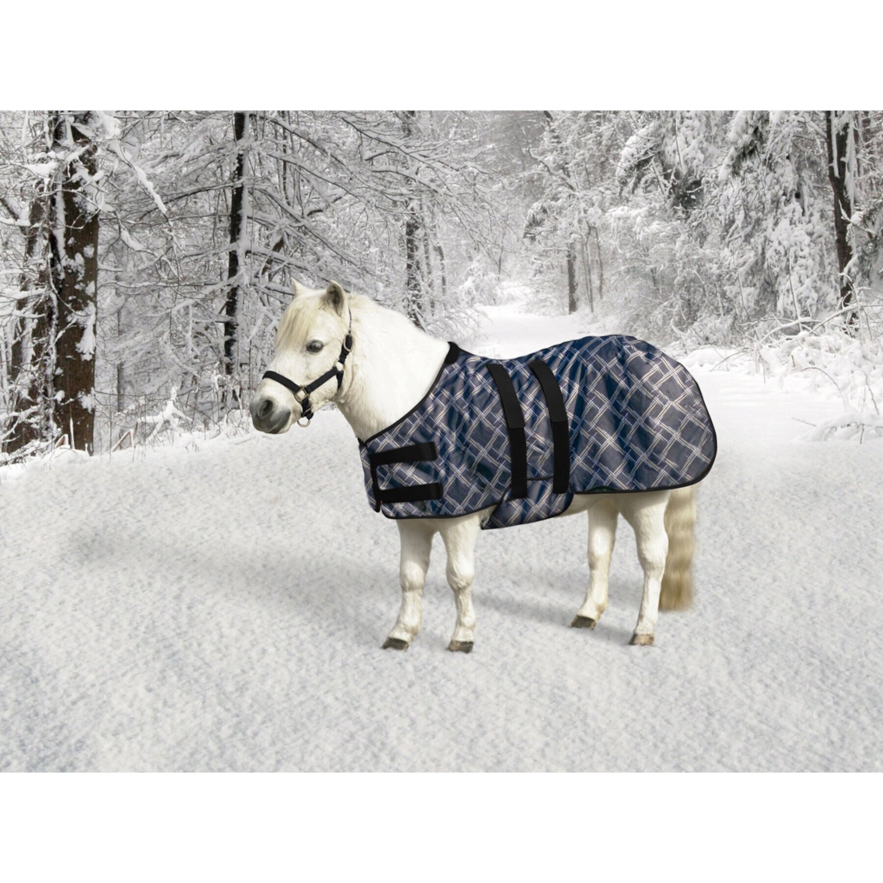 Kensington Protective Products Signature Mini Medium Weight Horse Turnout Kensington Protective Products