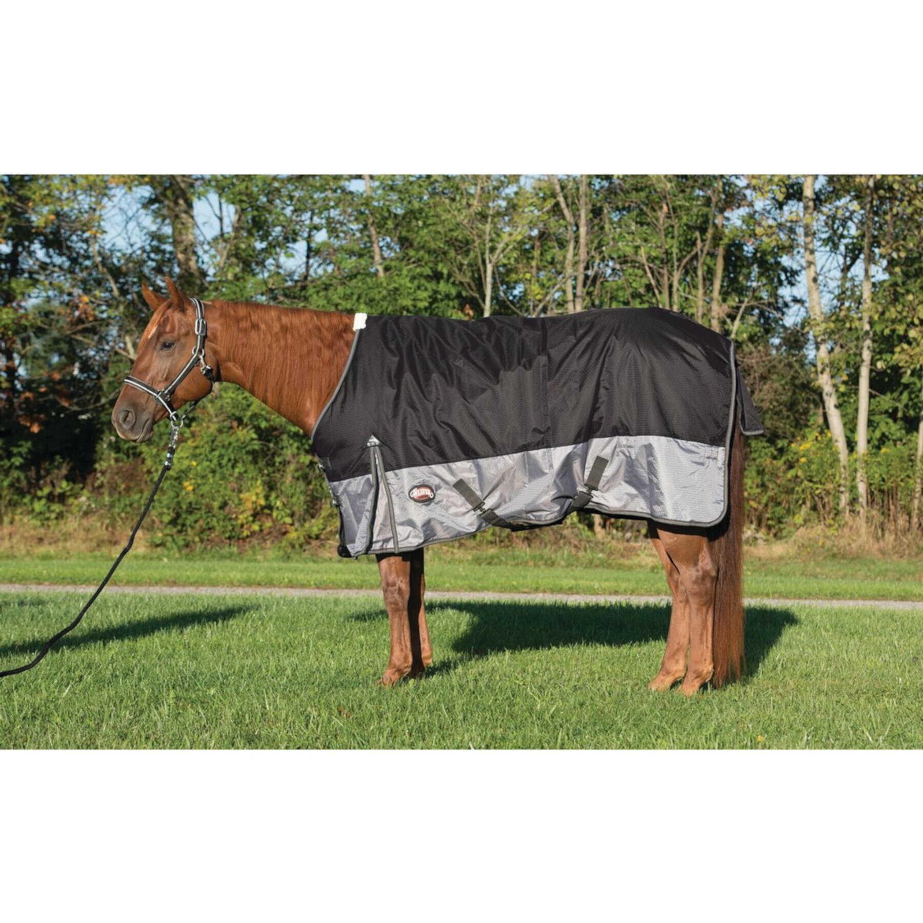 Weaver Leather Premium 600D Mesh Horse Rainsheet Weaver Leather