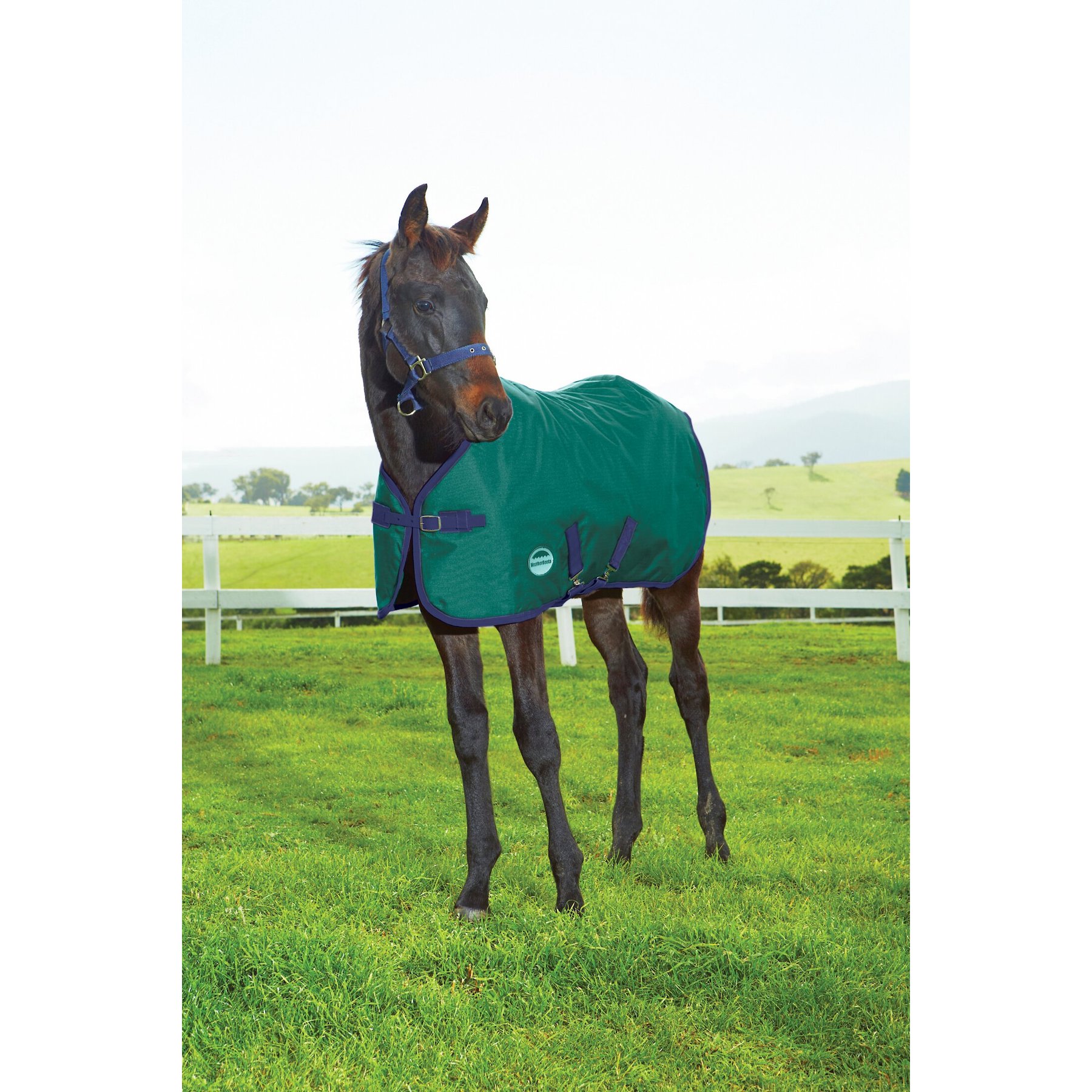 WeatherBeeta 1200D Foal Standard Neck Medium II Horse Blanket Weatherbeeta