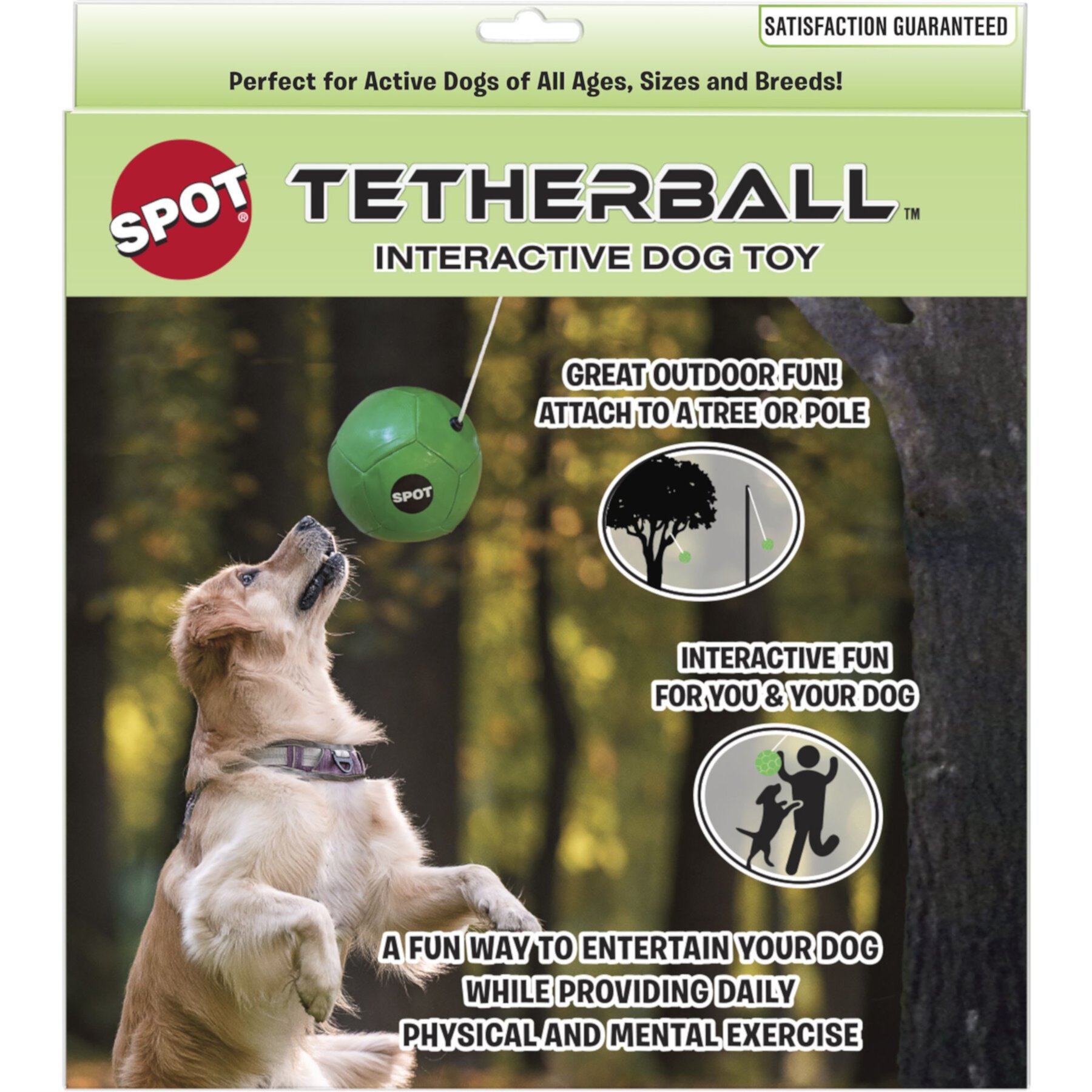 Ethical Pet Tether Ball with Rope Outdoor Ball Dog Toy, Green, 8-in Ethical Pet