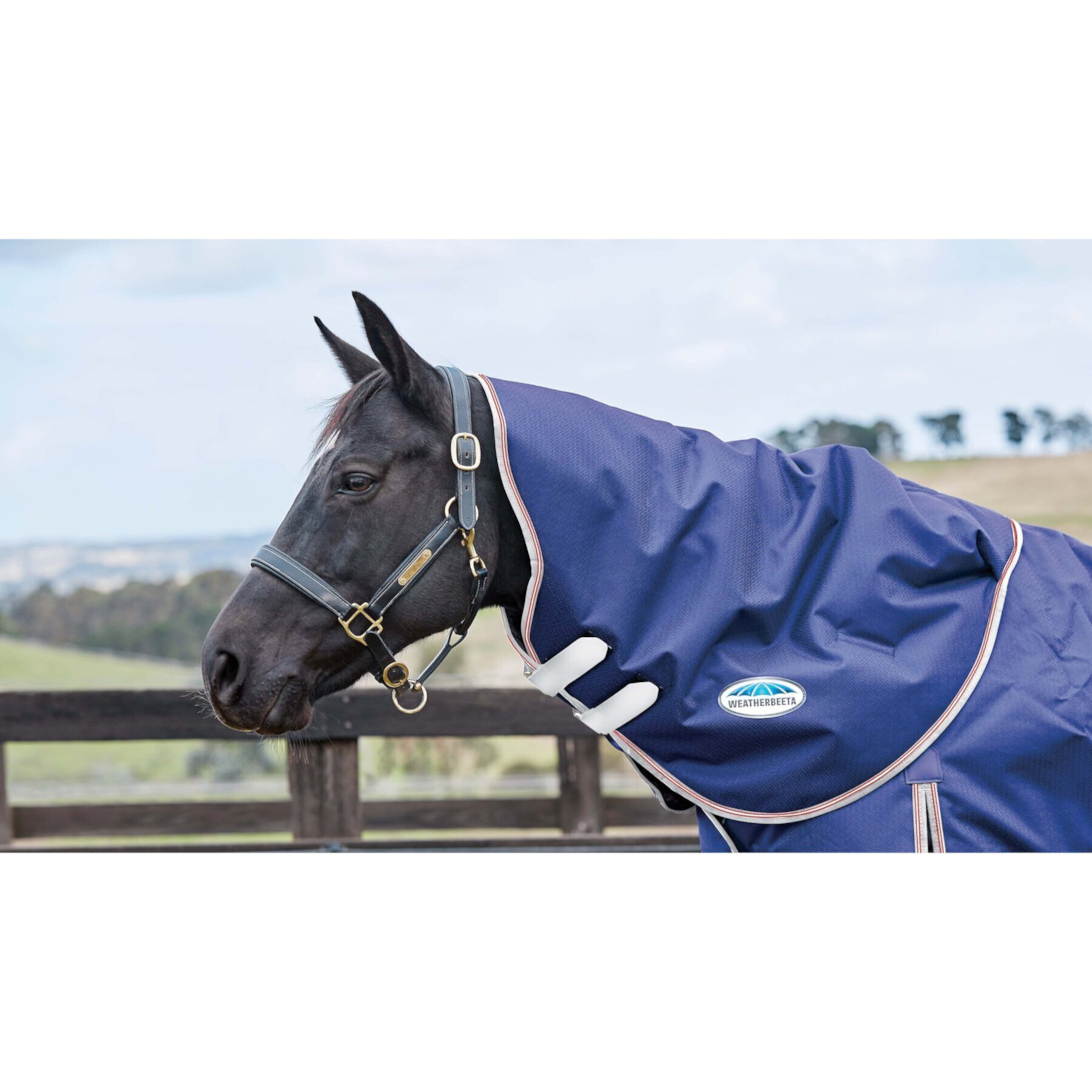 WeatherBeeta Comfitec Essential Neck Rug Lite Horse Blanket Weatherbeeta