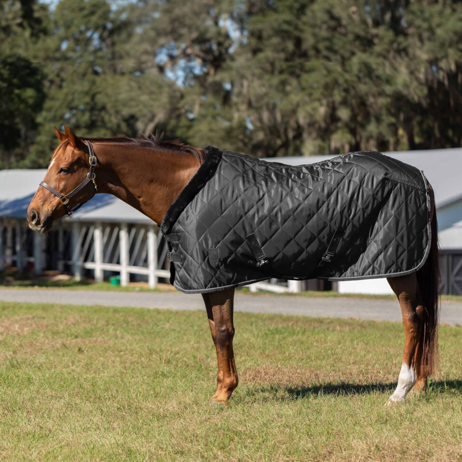 Equinavia Luksus Premium Horse Stable Blanket, Black Equinavia