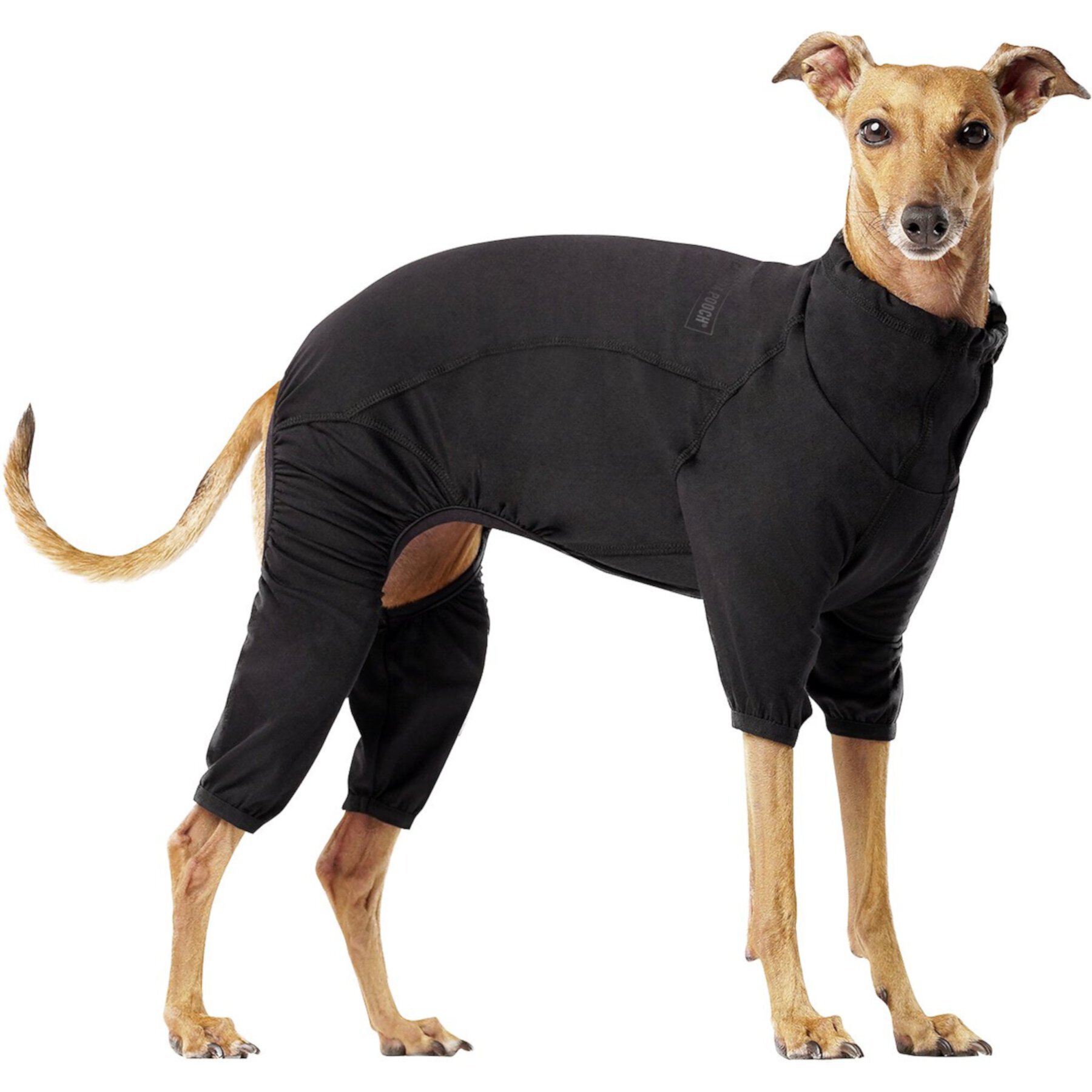 Canada Pooch Thermal Layer Dog Onesie, Black Canada Pooch