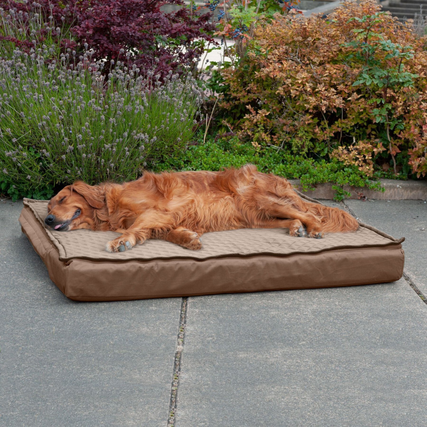 FurHaven Quilt Top Orthopedic Convertible Indoor/Outdoor Cat & Dog Bed Furhaven